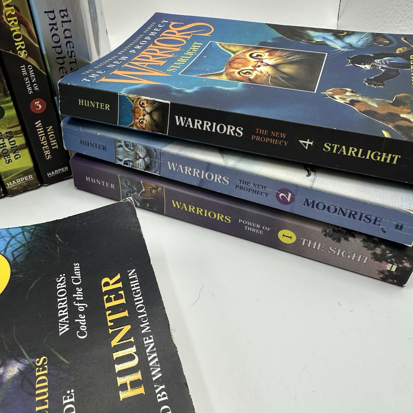 Warriors Series Mixed Titles 12 Book Lot Paperback Chapter Book Lot Erin Hunter