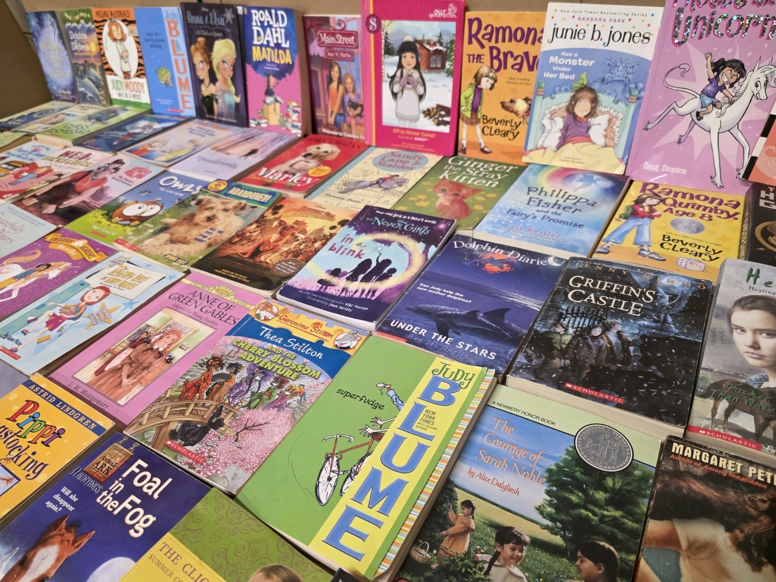 Lot of 20 Chapter Books for GIRLS Youth Early Reader Young Adult Children RANDOM