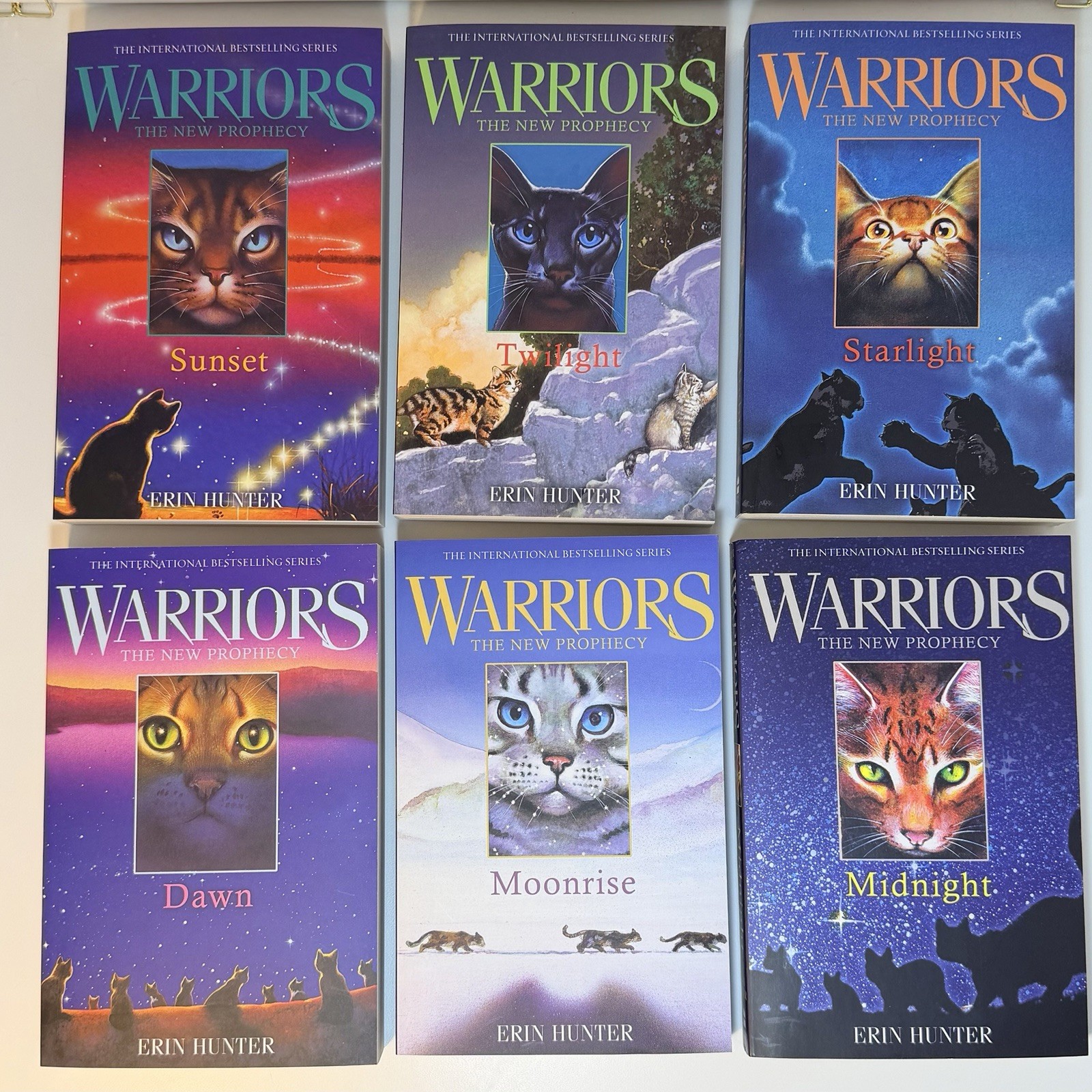 Warrior Cats Volume 1 to 12 PAPERBACK Books Collection Set by Erin Hunter