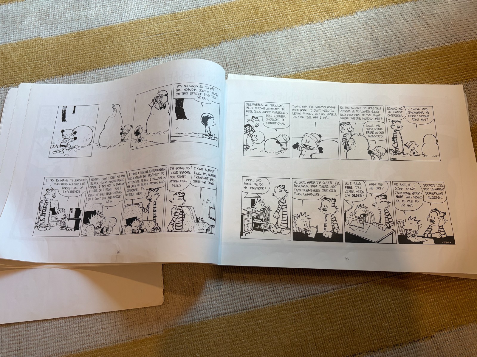 Calvin and Hobbes The Days Are Just Packed (INCOMPLETE BOOK, READ DESCRIPTION)