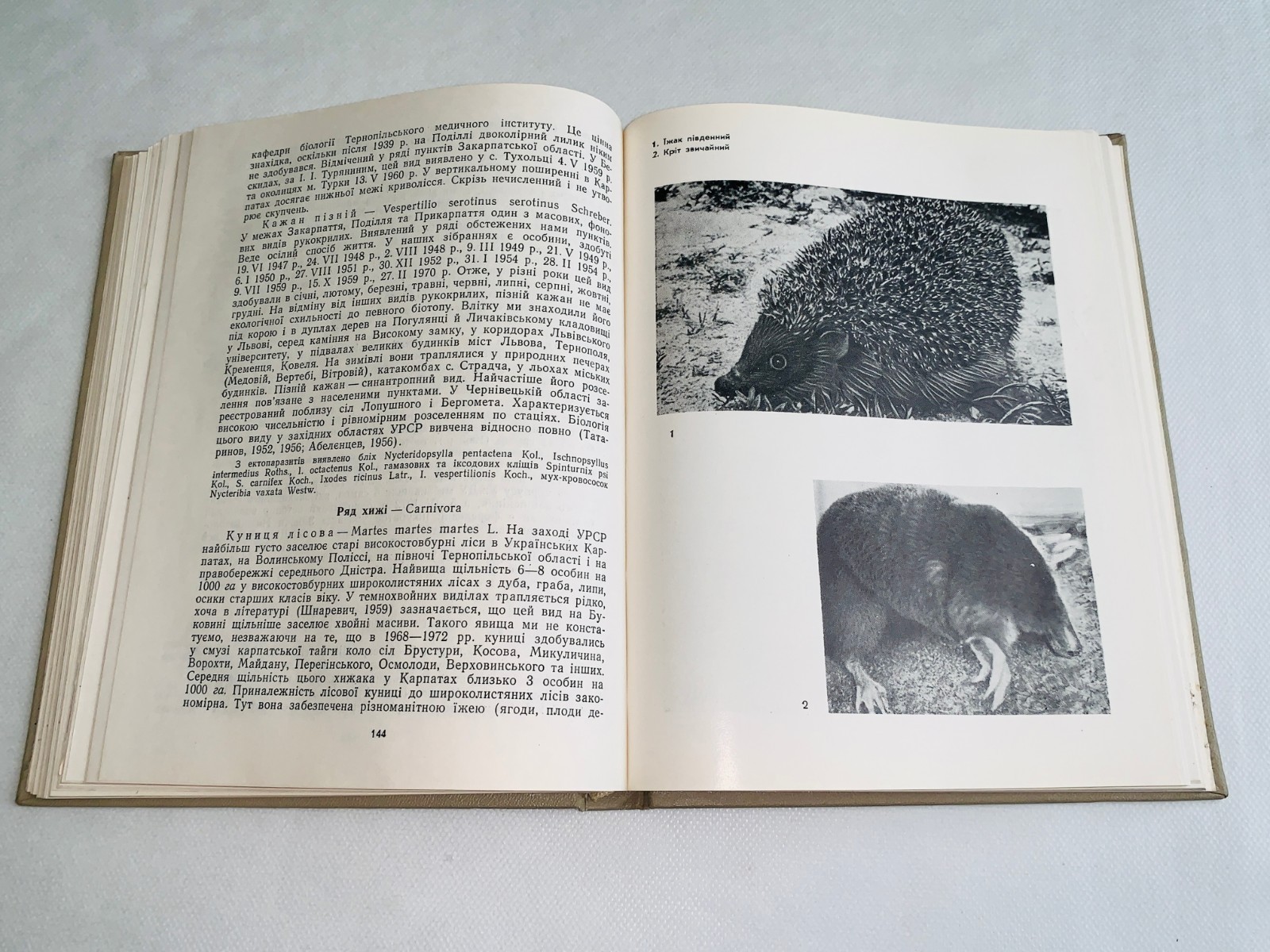 Фауна Західної України Хребетні / Fauna of Vertebrates of the Western Ukraine