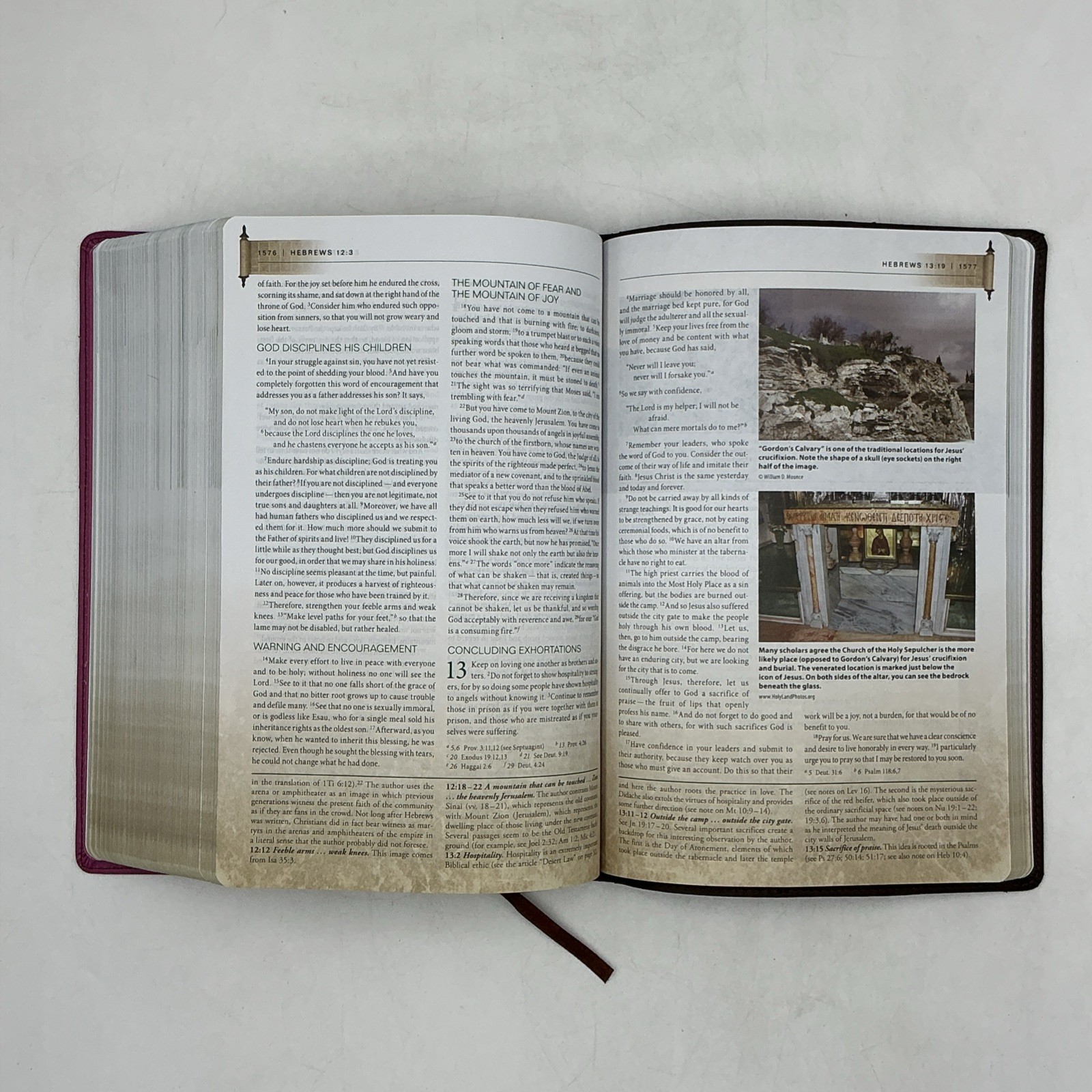 Zondervan NIV First Century Study Bible Dobson Italian Duo Tone Chocolate Orchid