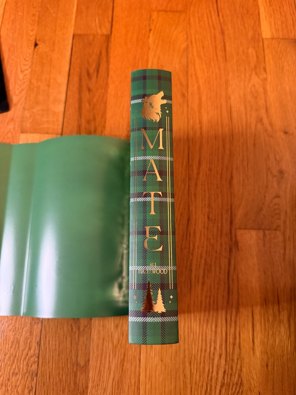 Dreamerwhale Mate by Ali Hazelwood + Overlays