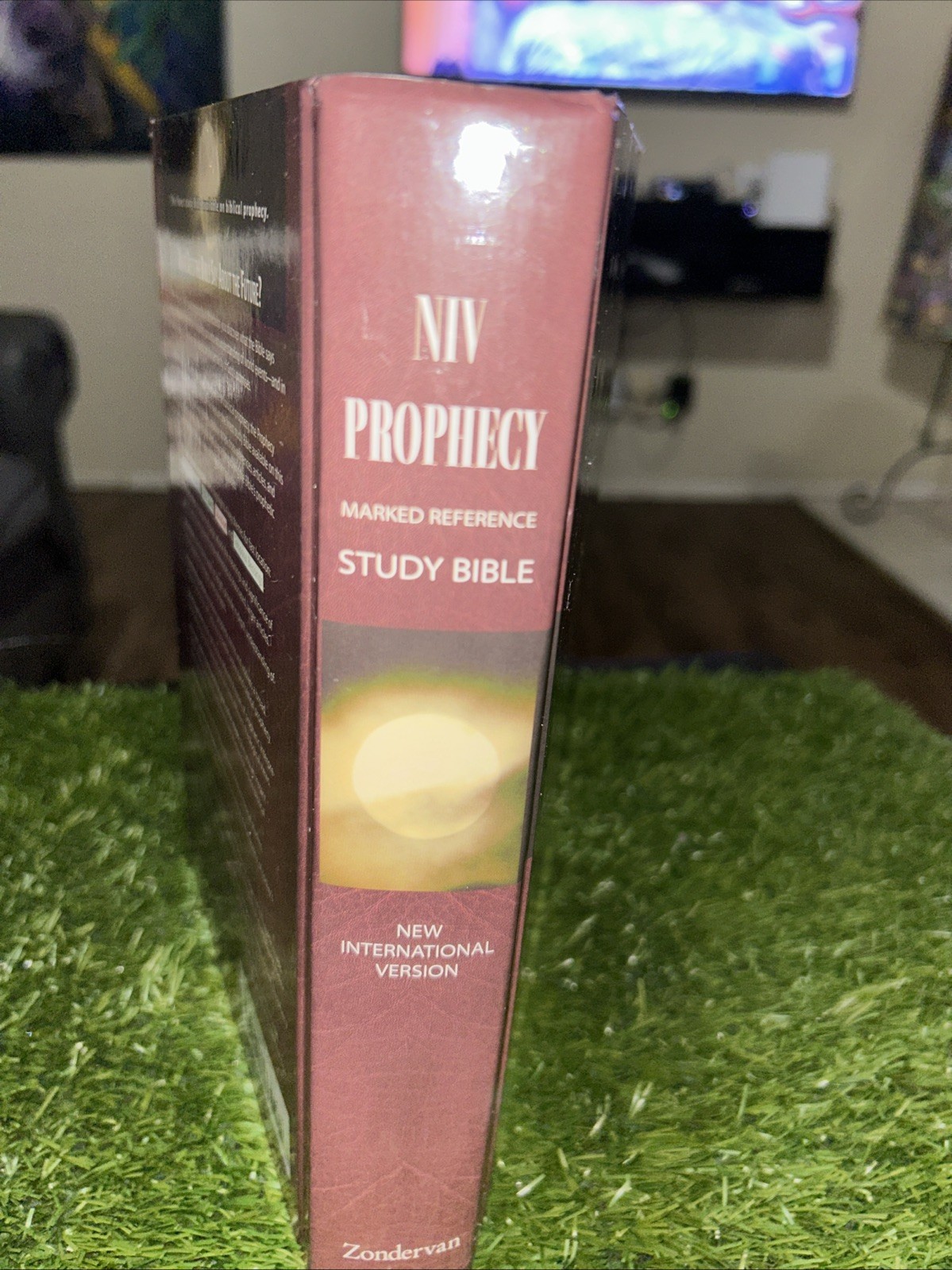NIV Prophecy Marked Reference Study Bible 1998 Hardcover Text 1984