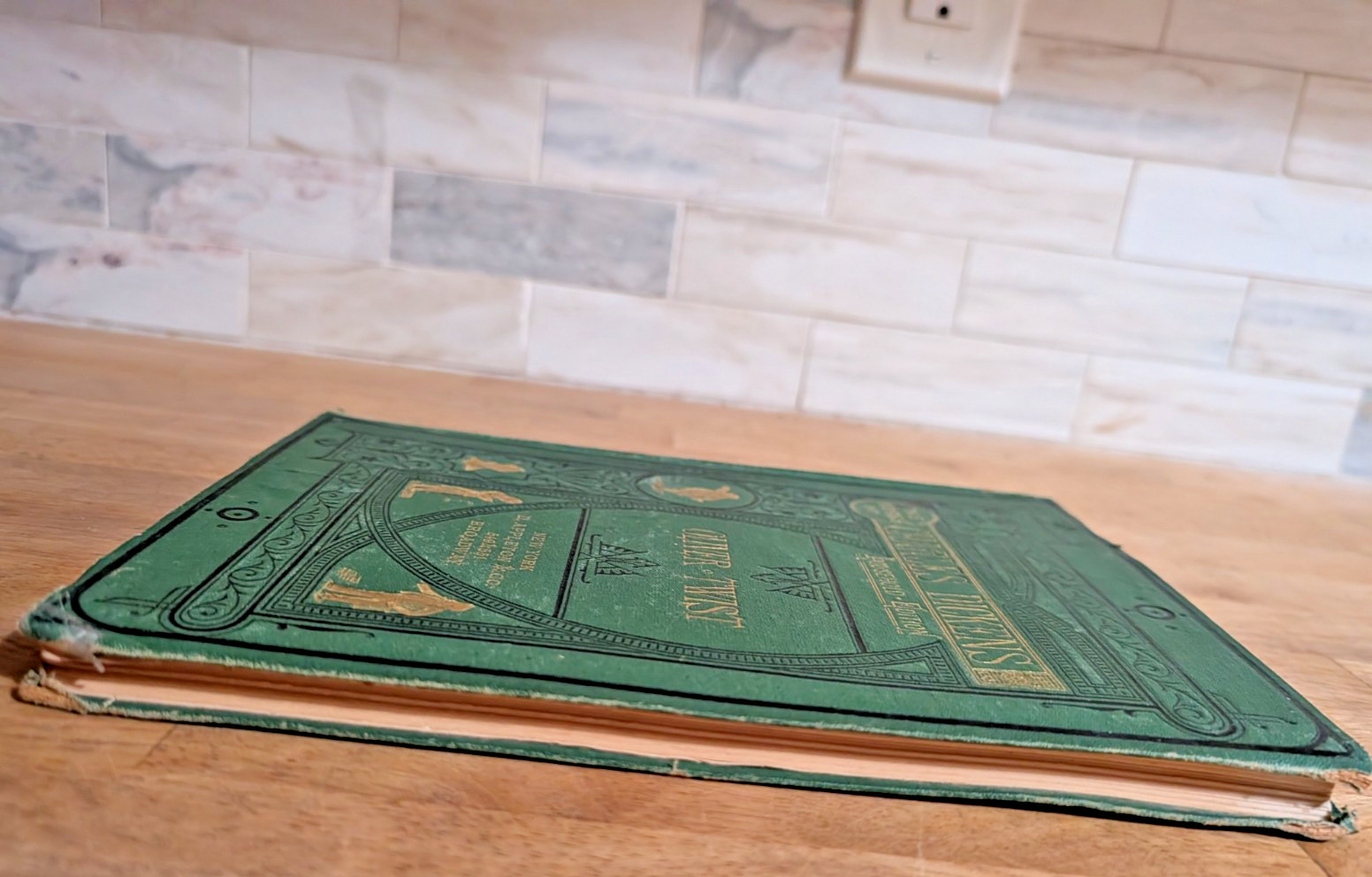 Charles Dickens Oliver Twist Household Edition circa 1870s HC Book D. Appleton