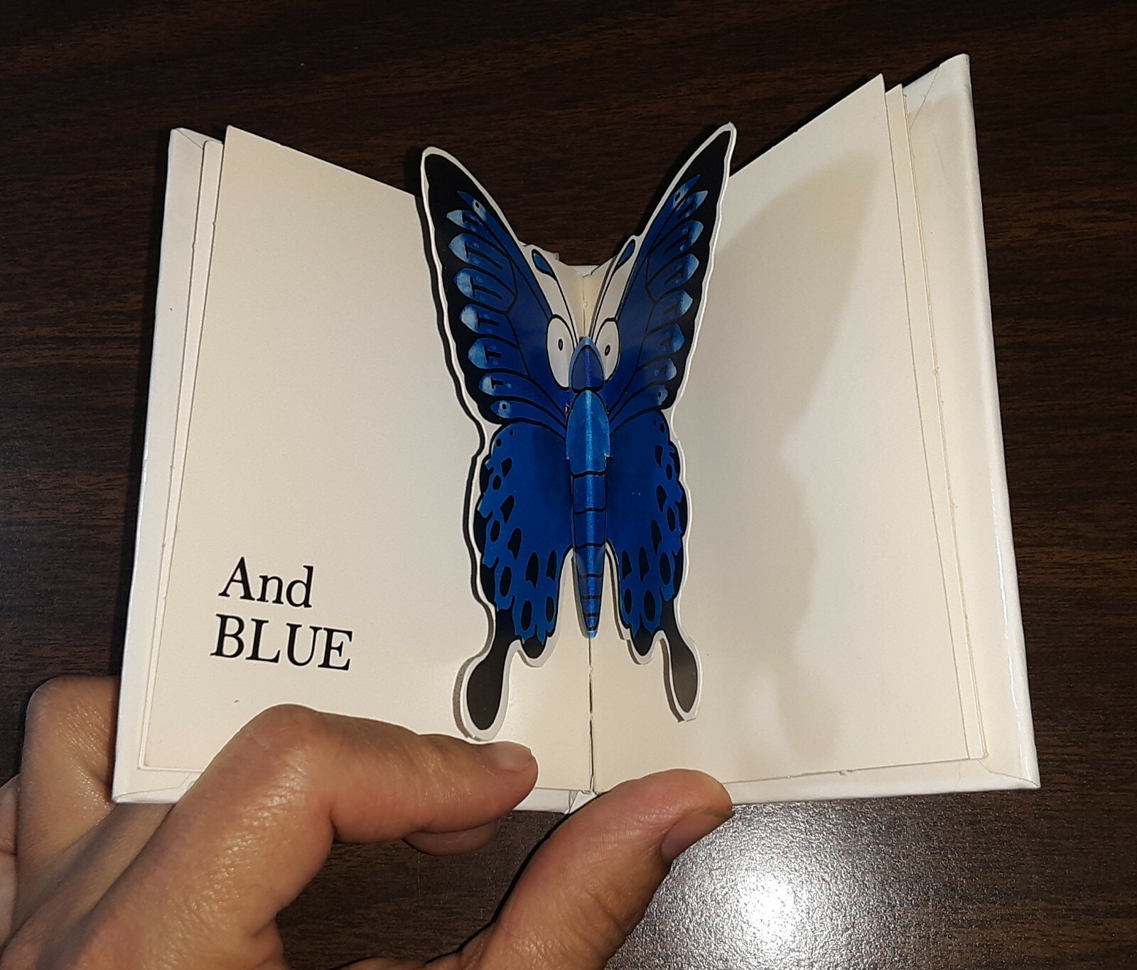 Colors – (Baby Bug Pop-Up Books) – by David A. Carter – 1993