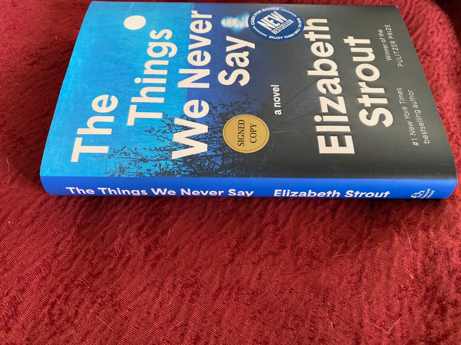 ELIZABETH STROUT — THE THINGS WE NEVER SAY — HD SIGNED