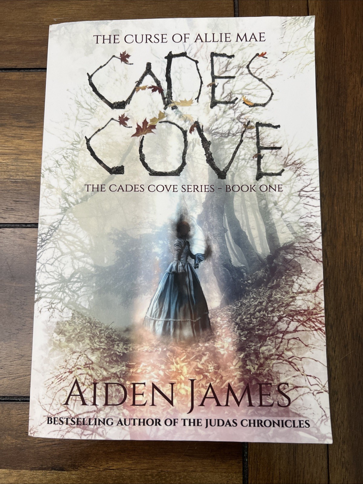 Cades Cove Book Lot Aiden James Books 1-4 Manor House Books Including Autograph