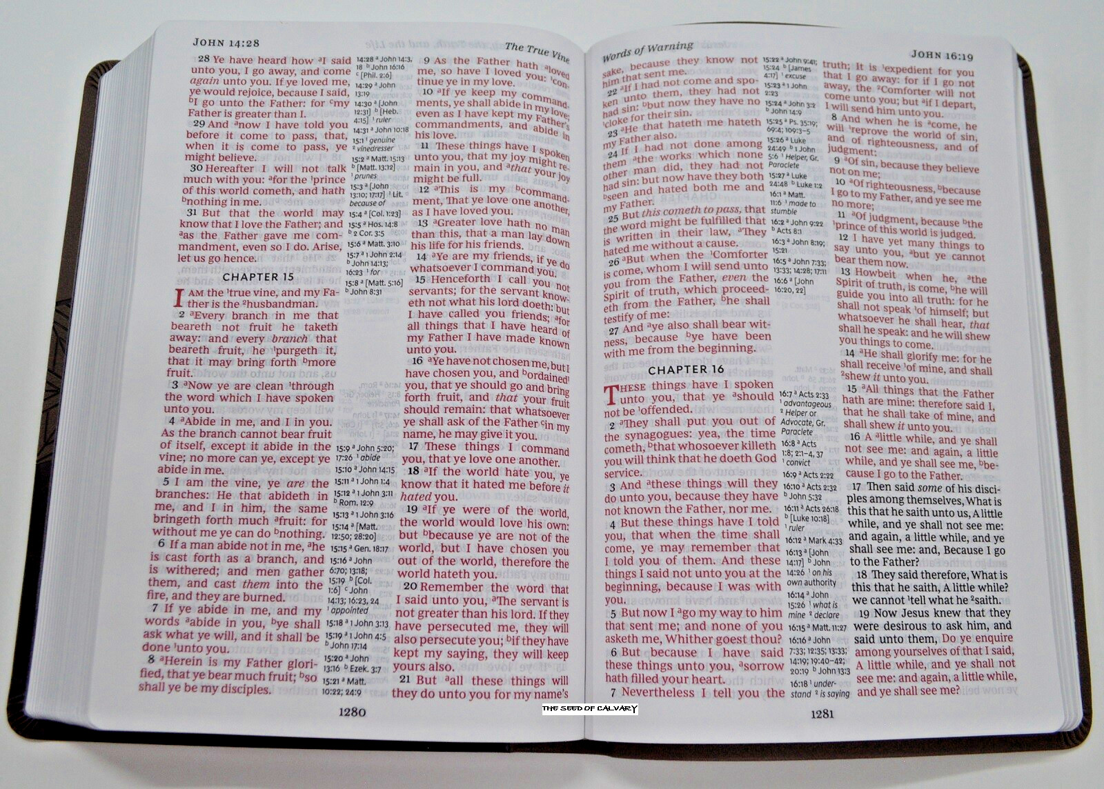 KJV Giant Print Red Letter Edition BRAND NEW in Shrink Wrap!!!