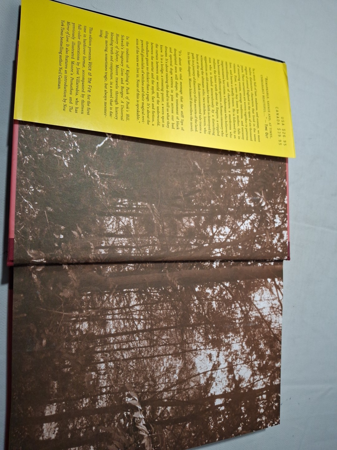 Voice of the Fire by Alan Moore (2004, Hardcover)