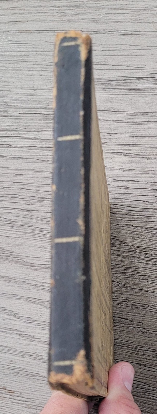1853 Music Reader Book – The Singing Bird by William B. Bradbury 176 pages