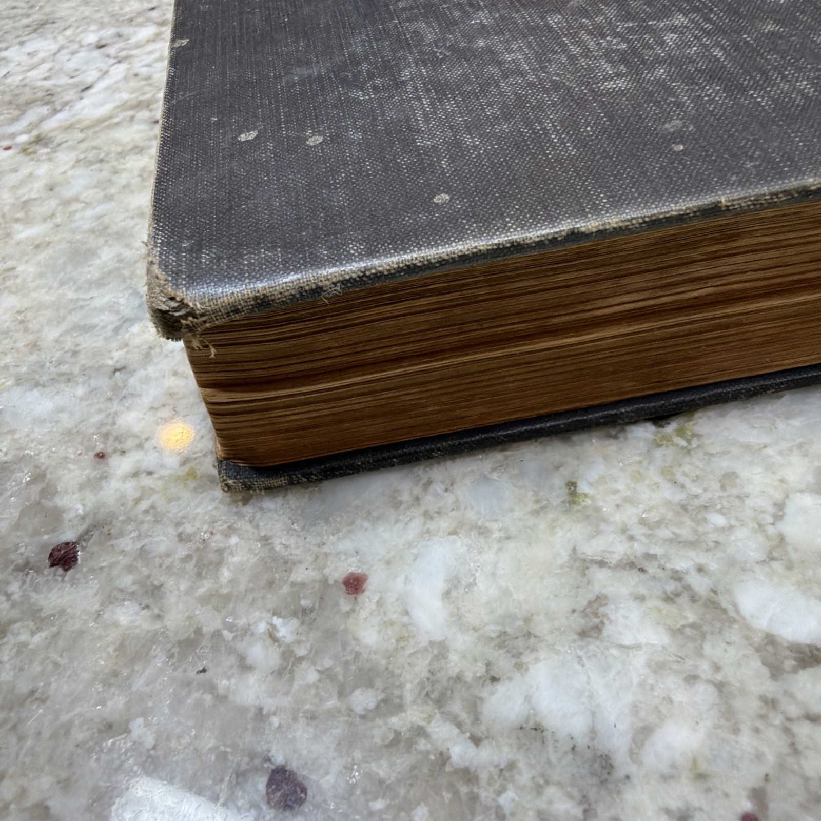 The Ancient World From The Earliest Times to 800 AD by Willis Mason West
