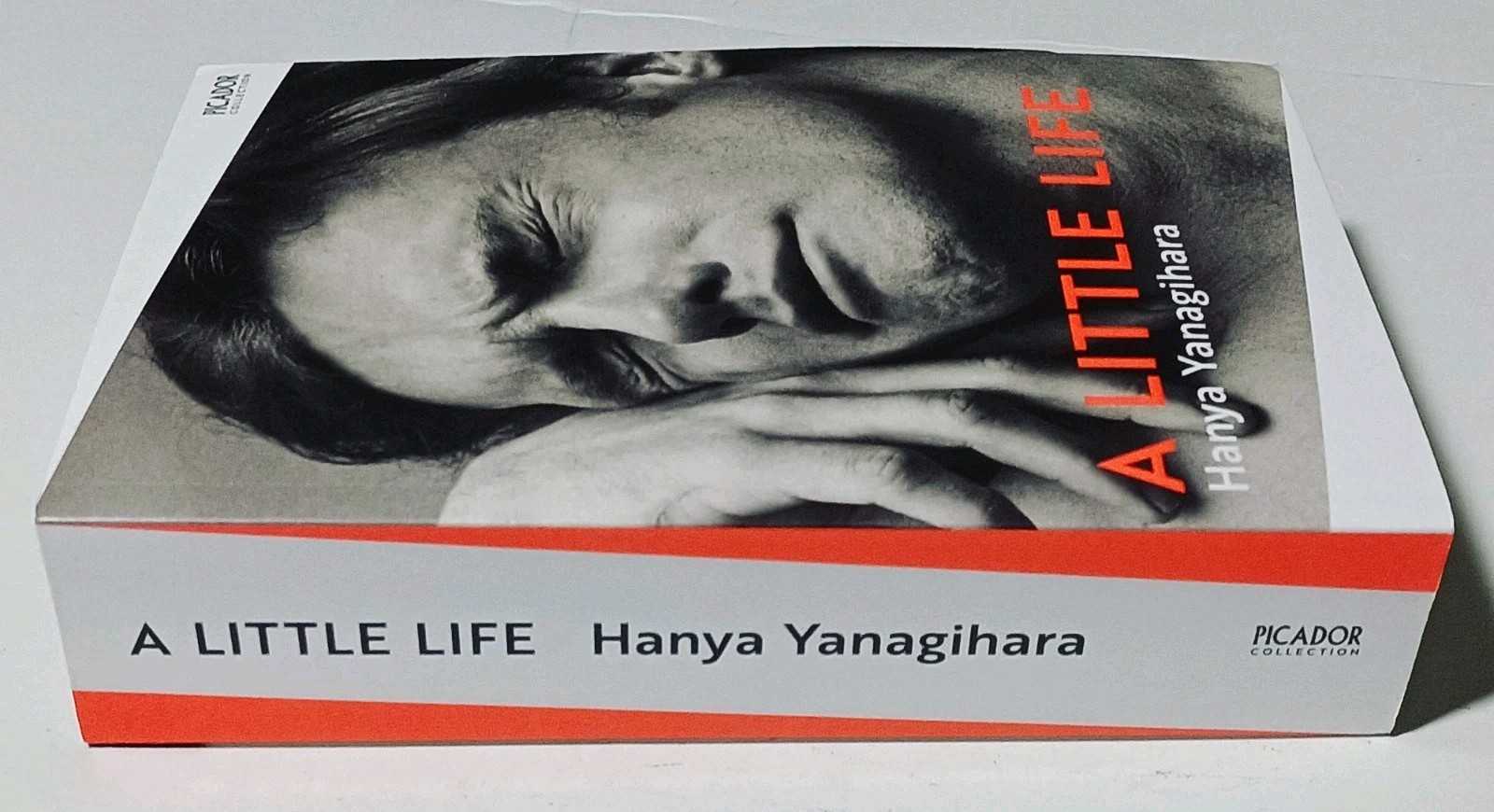 A Little Life by Hanya Yanagihara (Paperback, 2015)