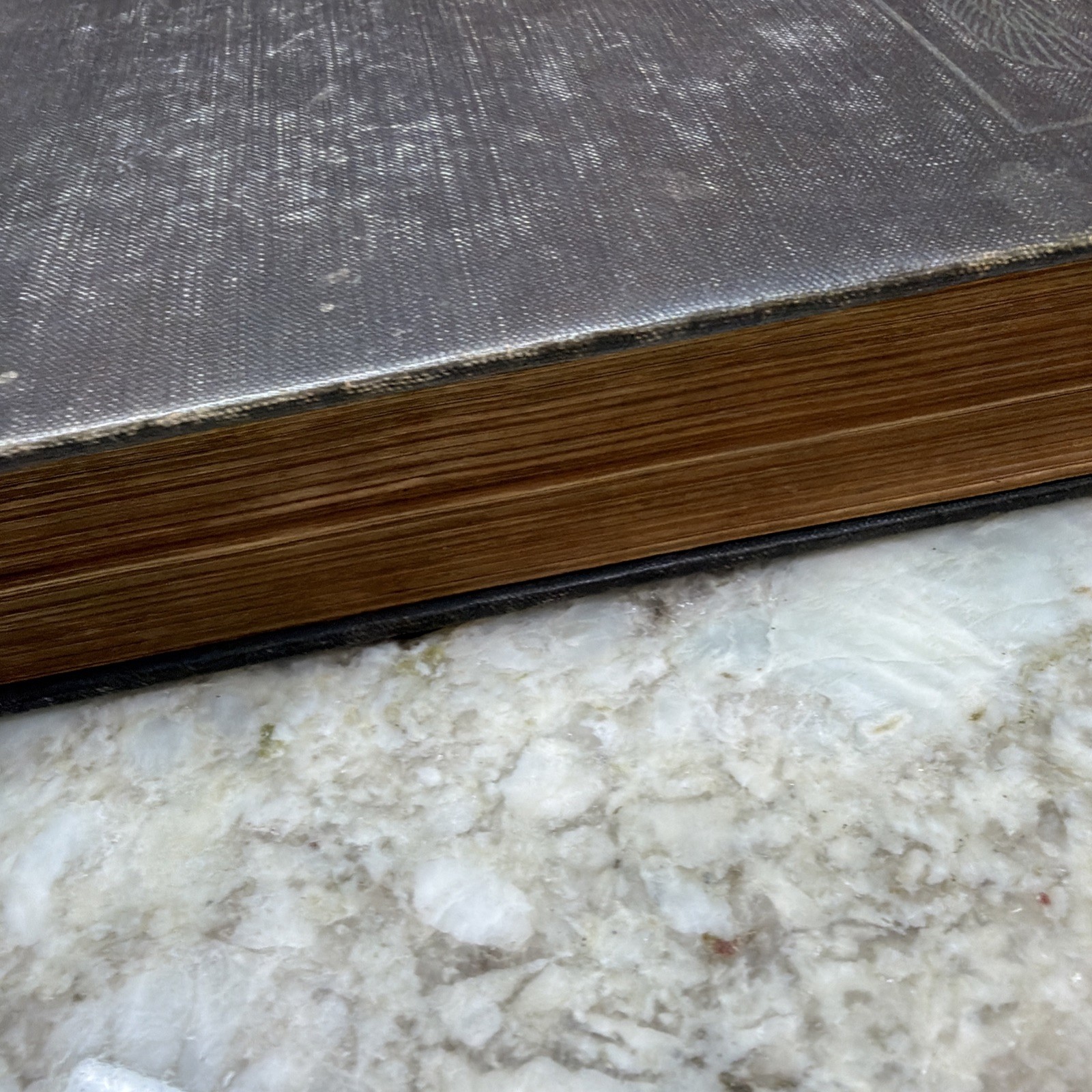 The Ancient World From The Earliest Times to 800 AD by Willis Mason West