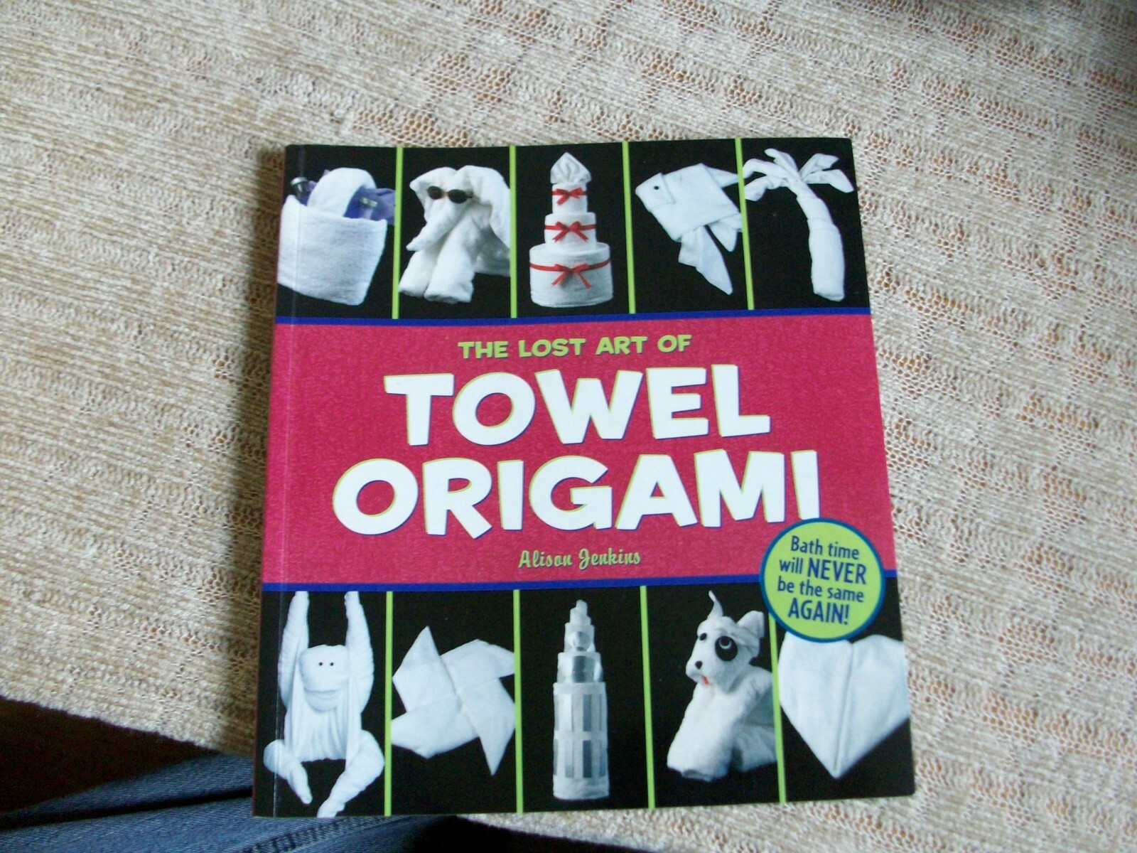 The Lost Art of Towel Origami by Alison Jenkins (2005,Ivy Press,paperback)