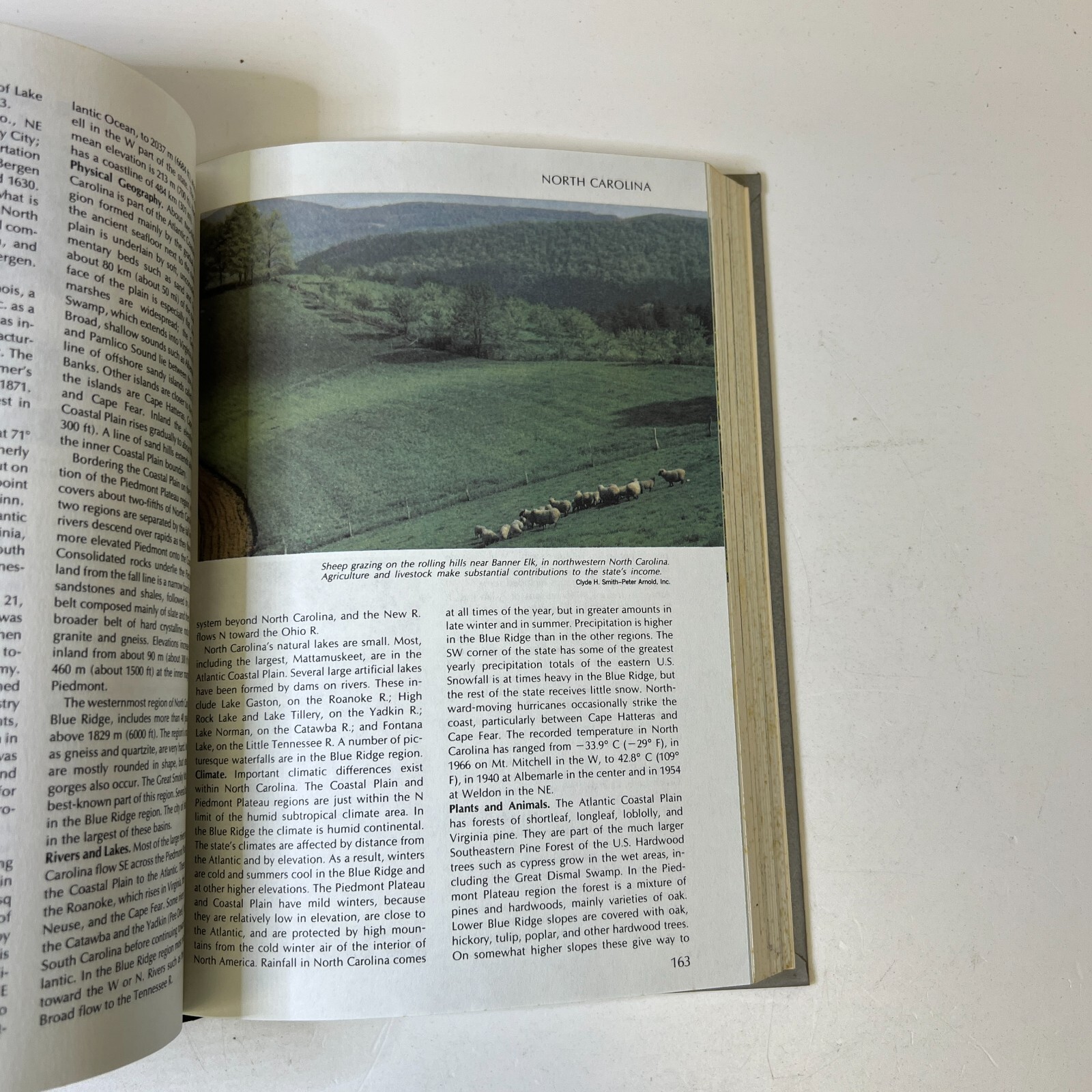 Funk and Wagnalls New Encyclopaedia, Vol. 19, by Leon L. Bram Hardcover