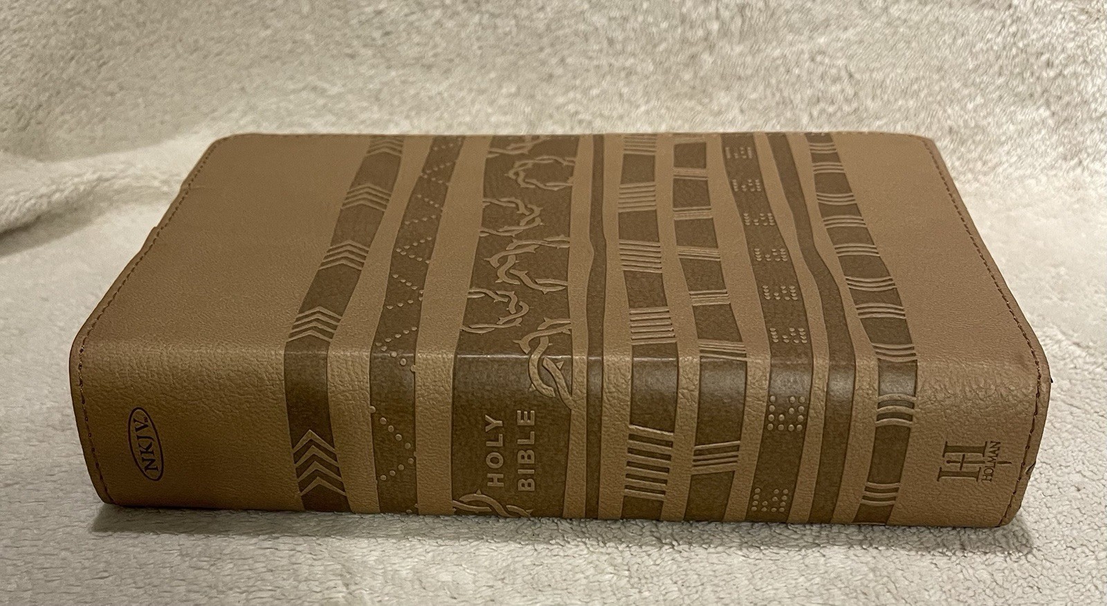 HCSB Essential Teen Study Bible- Aztec by B&H Kids
