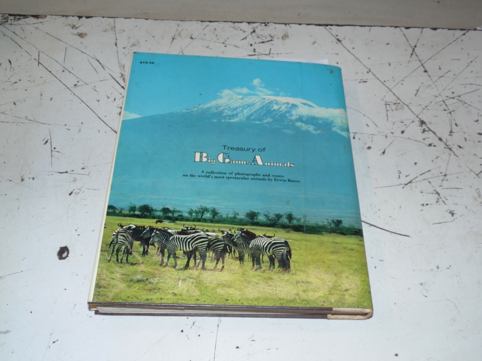 Vintage Treasury of Big Game Animals – Erwin Bauer – 398 Pages