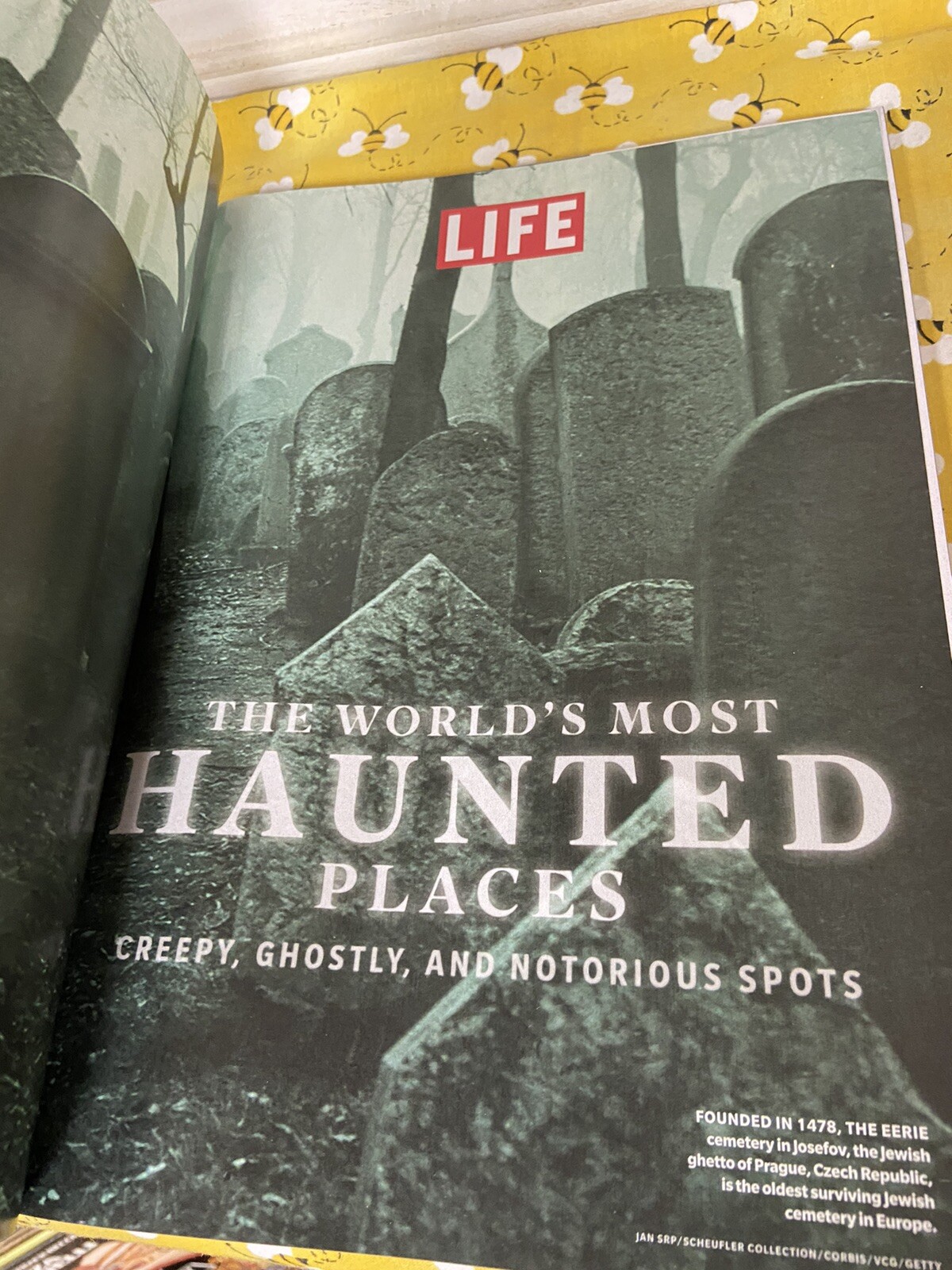 THE WORLD’S MOST HAUNTED PLACES LIFE Magazine 2023 Reissue of Special Edition