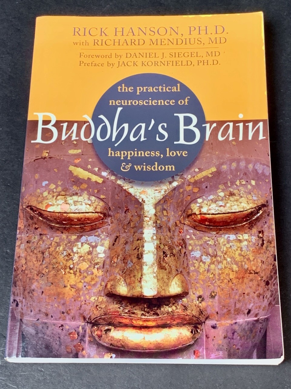 Mindfulness Meditation – Lot of 4 – Jon Kabat-Zinn, „Buddha‘ Brain“ – Softcover