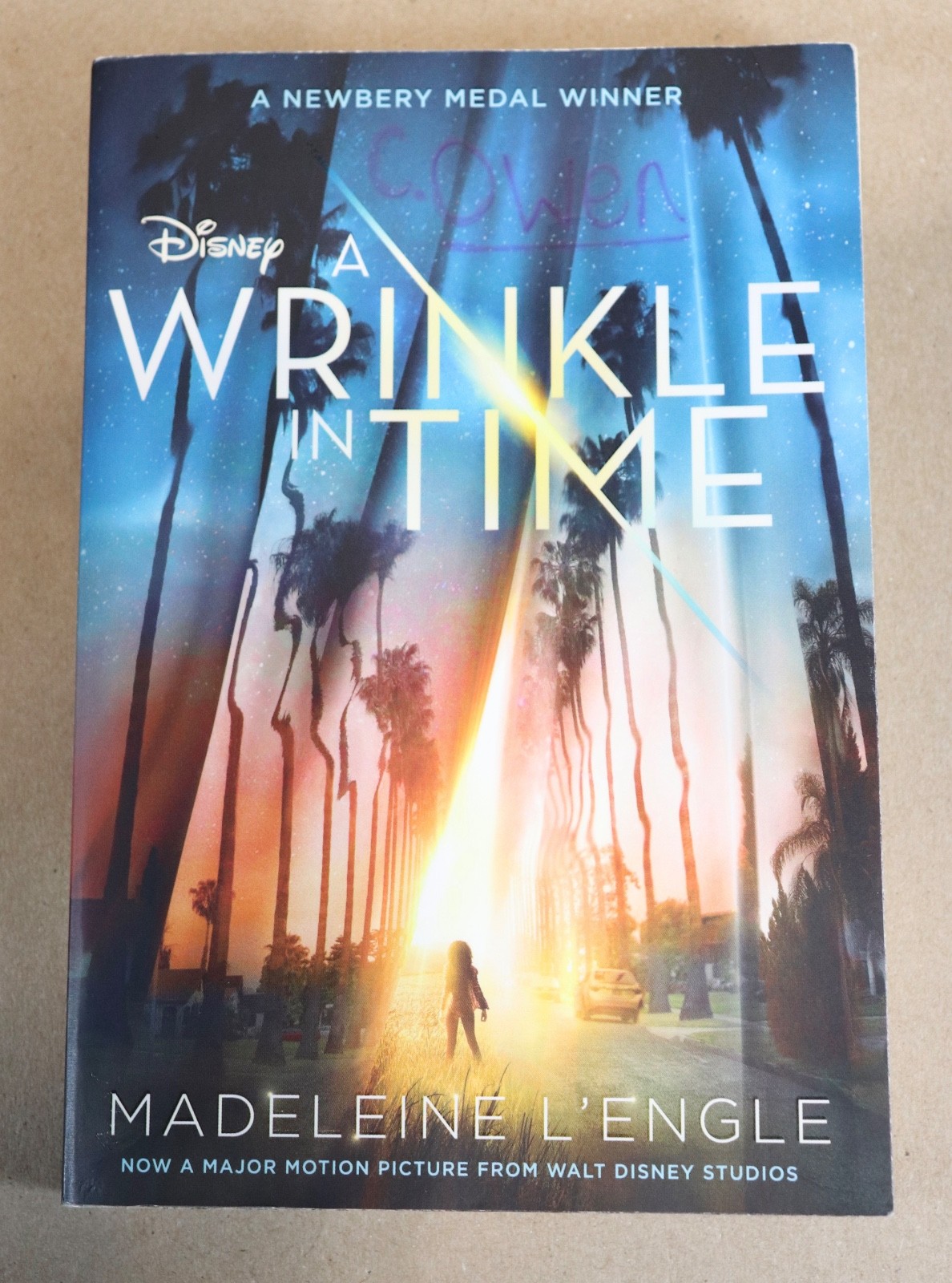 Lot of 11 A Wrinkle In Time by Madeleine L’Engle GUIDED READING Teachers Set