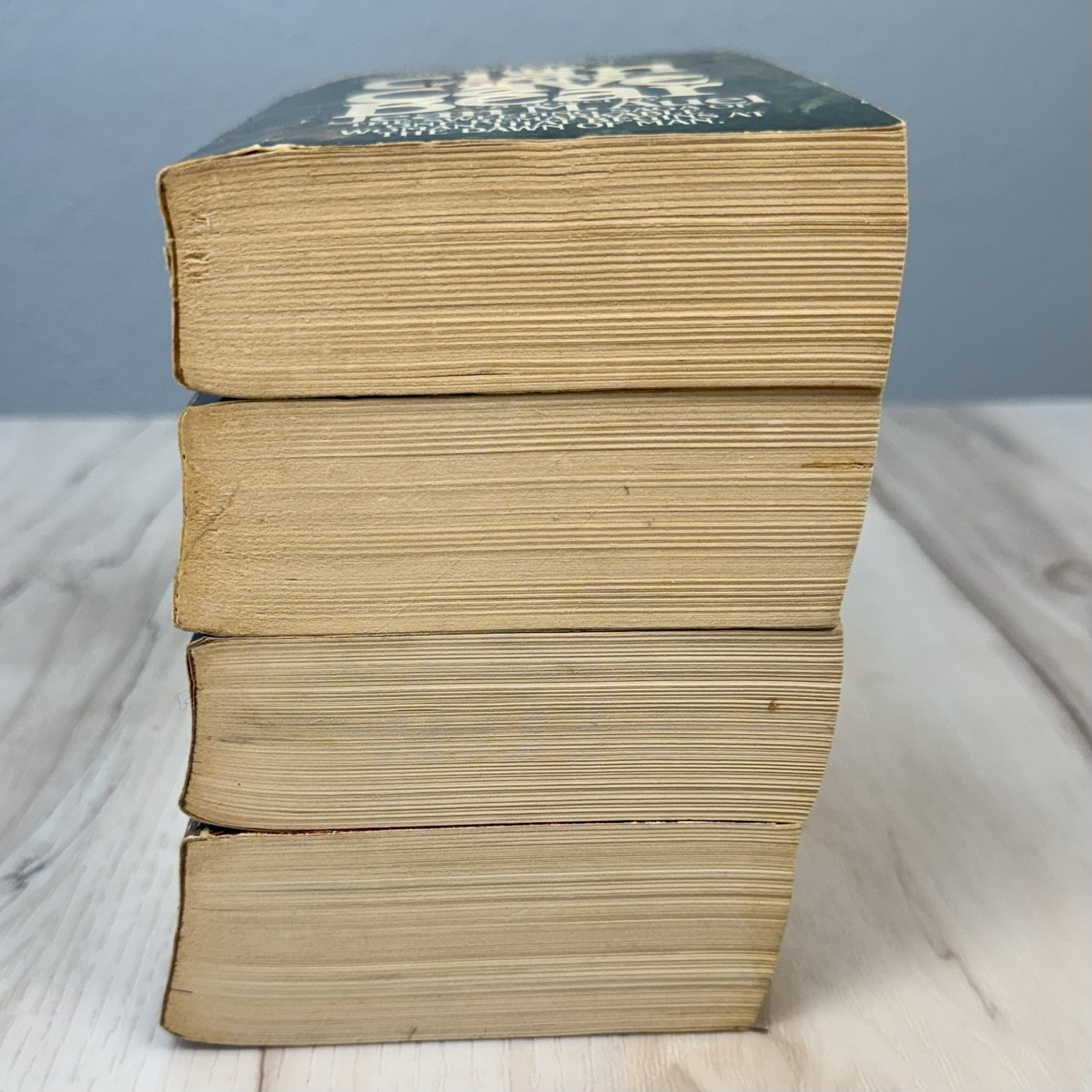 VTG 80s Lot 4 Earth’s Children Series Paperback Books by Jean M Auel Bantam