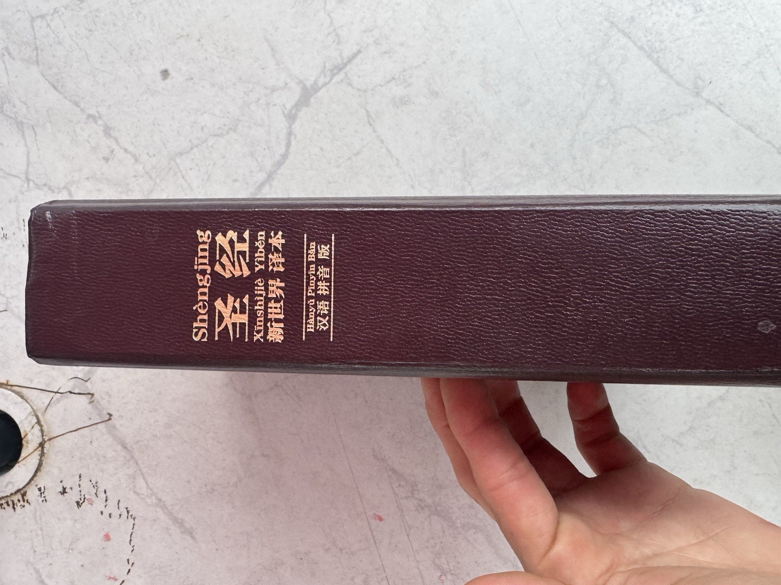 New World Translation Holy Scriptures Chinese Simplified (PINYIN) Watch Tower