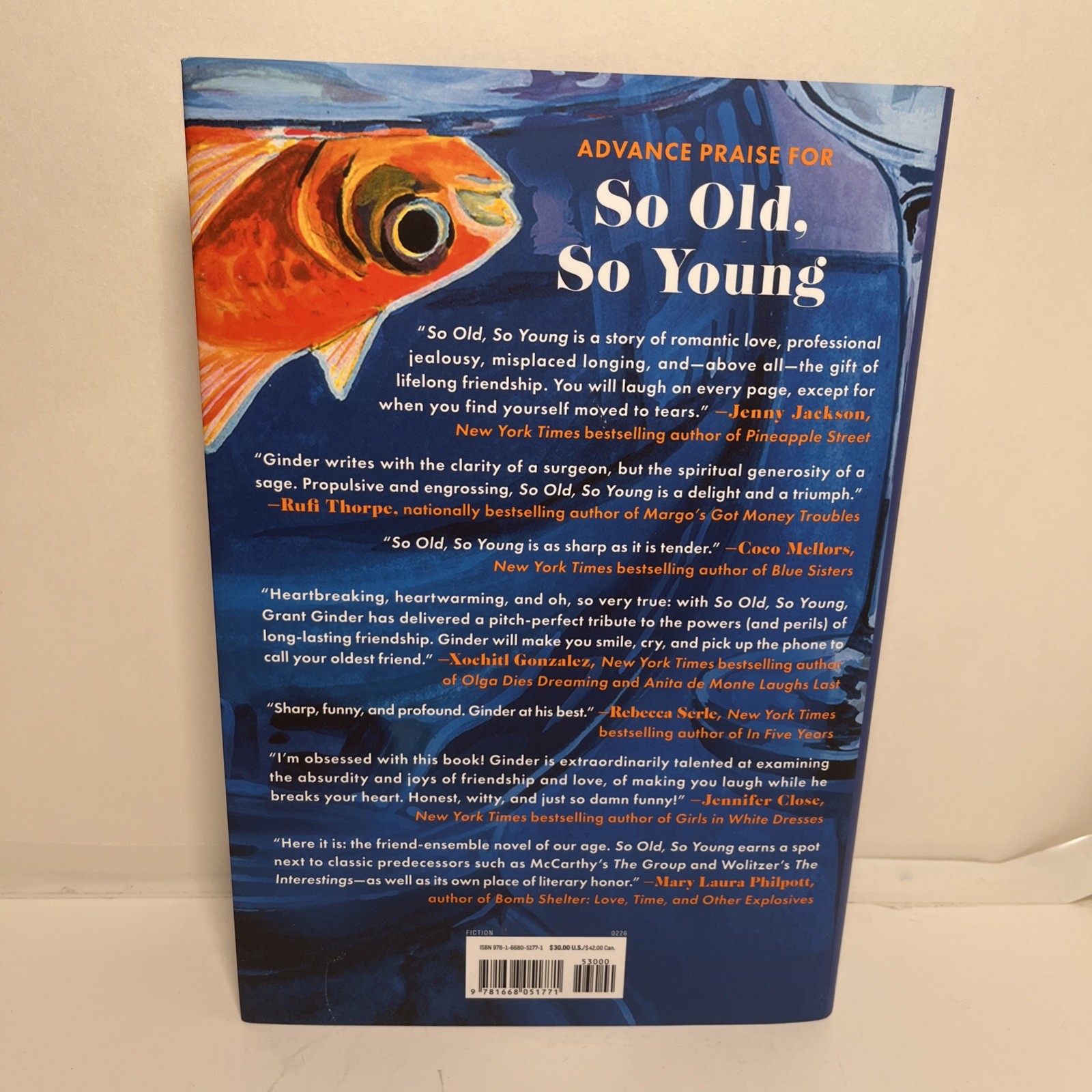 So Old, So Young : A Novel by Grant Ginder (2026, Hardcover)