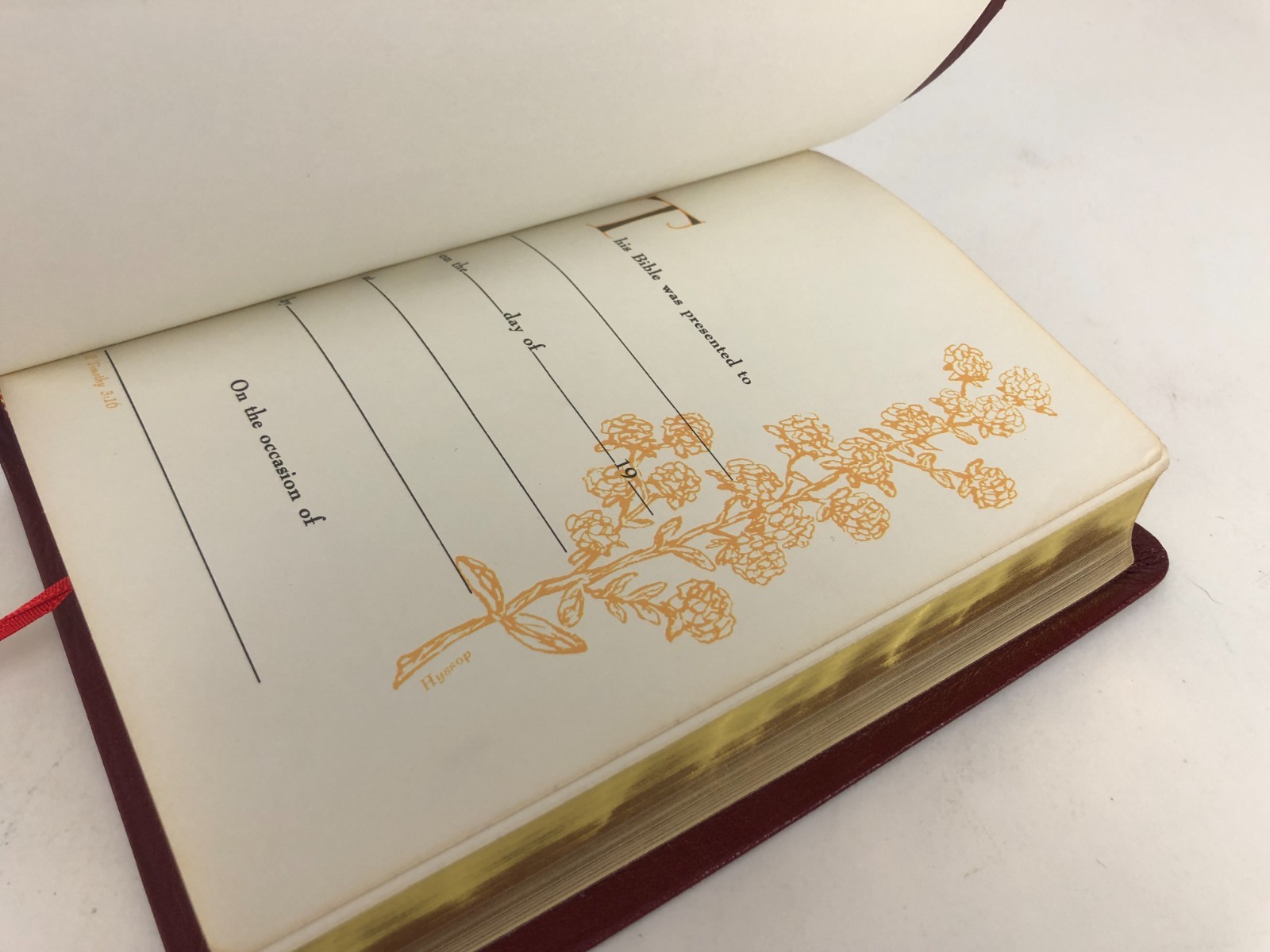 *gorgeous AMG Holman 1970s KJV Verse Reference Bible Genuine Leather UK print VG