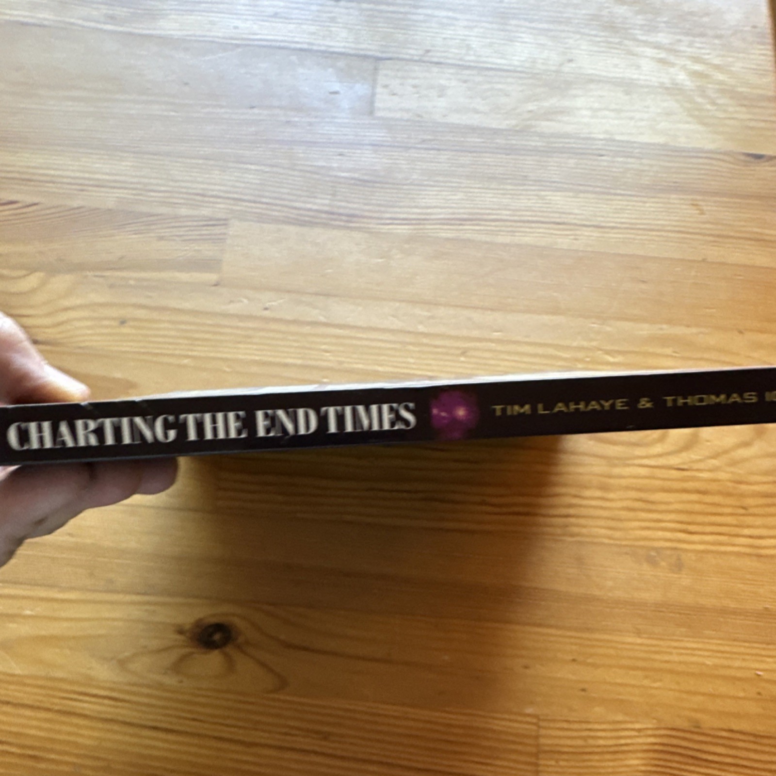 Charting the End Times by Tim LaHaye & Thomas Ice Hardcover Religion Guide