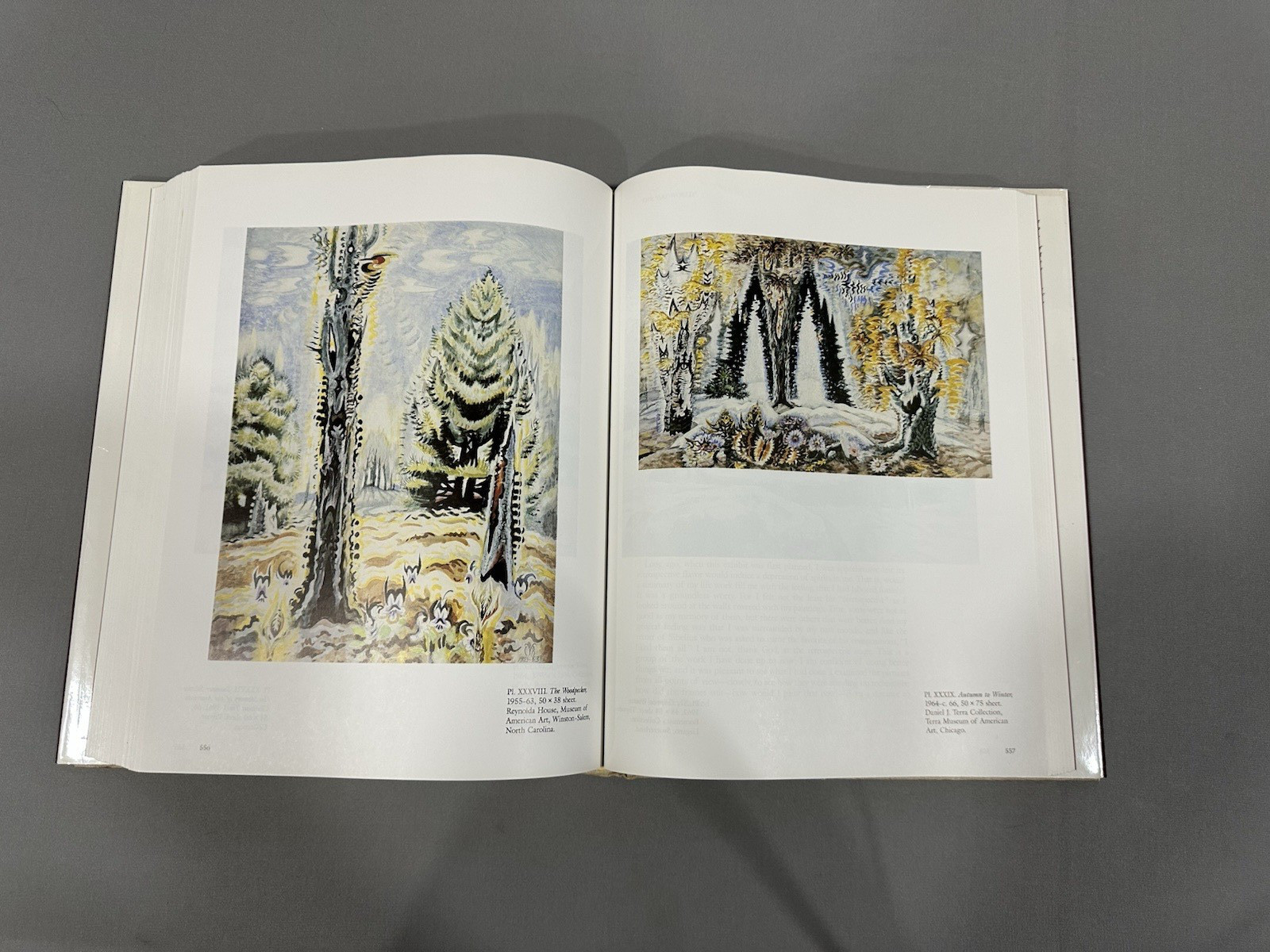 Charles Burchfield’s Journals The Poetry of Place by Charles Burchfield 1992