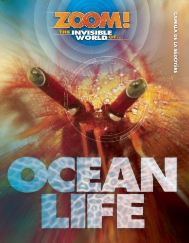 The Invisible World of Ocean Life (Zoom!)