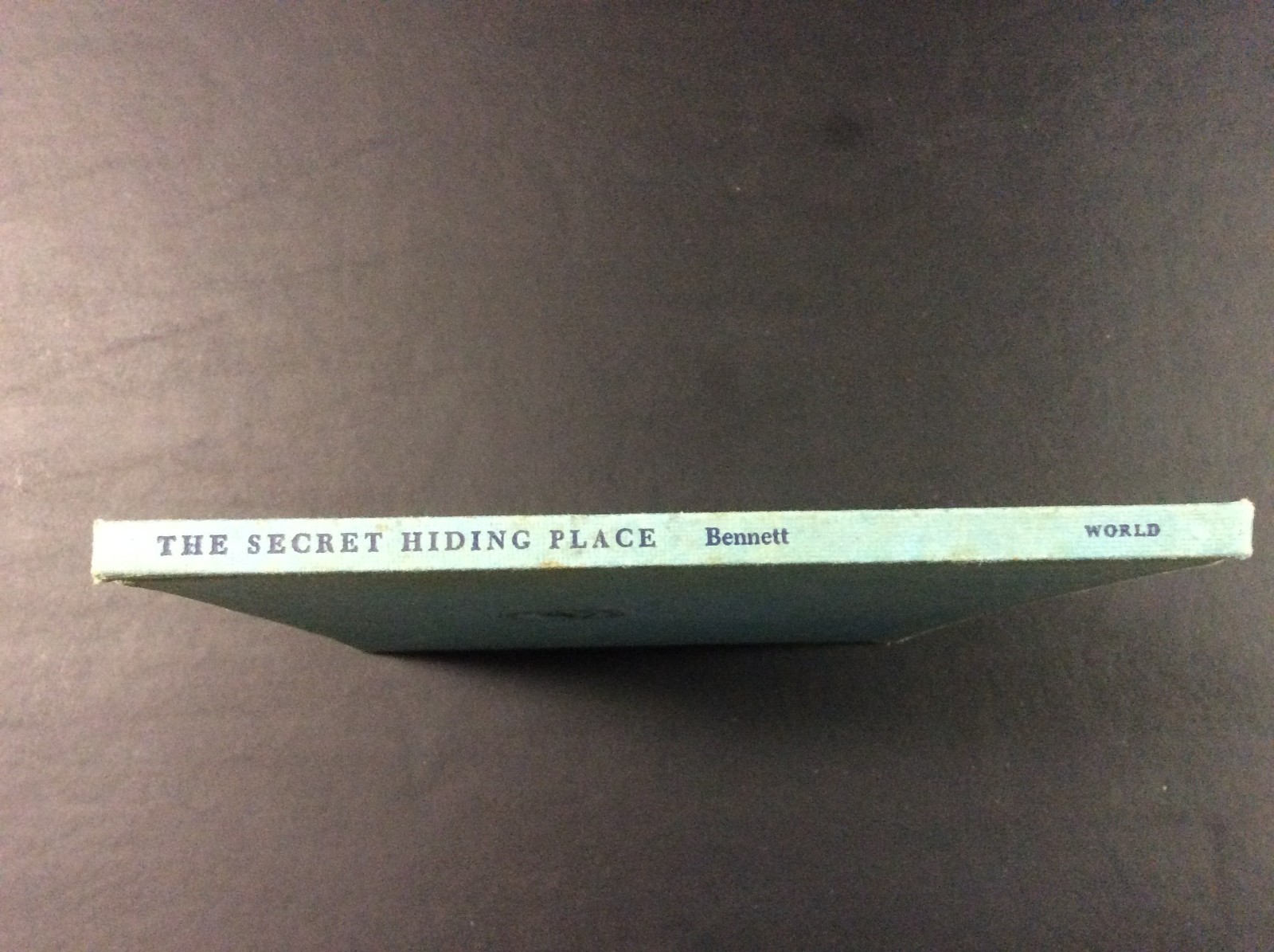 The Secret Hiding Place by Rainey Bennett Hardcover 1960 26 pages (Good)