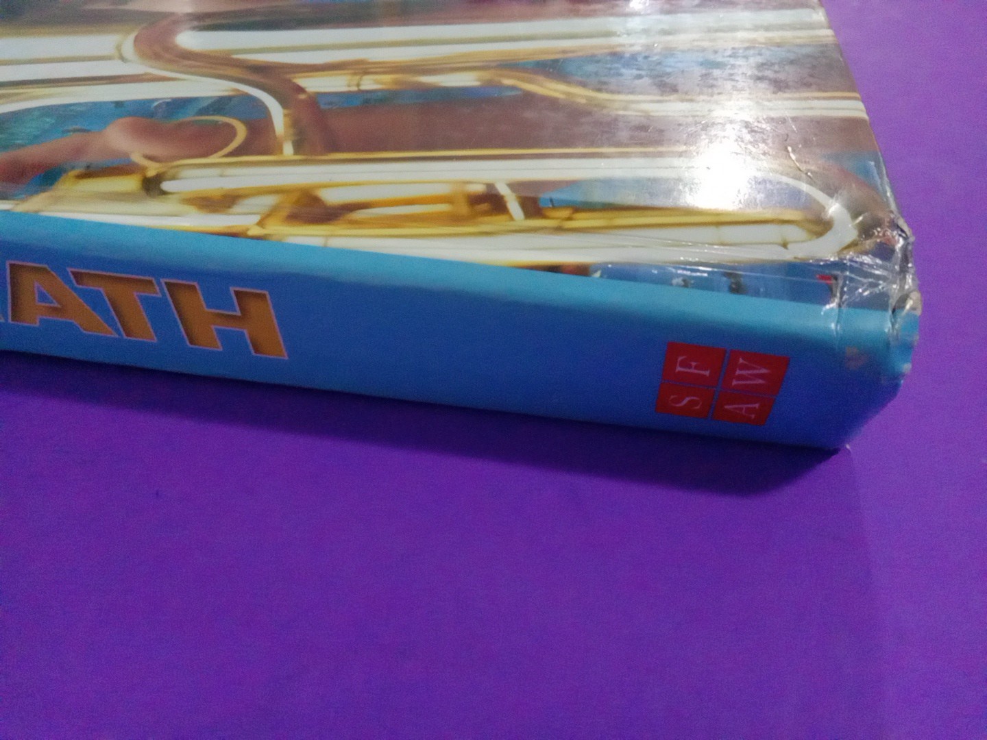 SCOTT FORESMAN ADDISON WESLEY MATH 1999 PUPIL EDITION GRADE 6 VERY GOOD CONDITIO