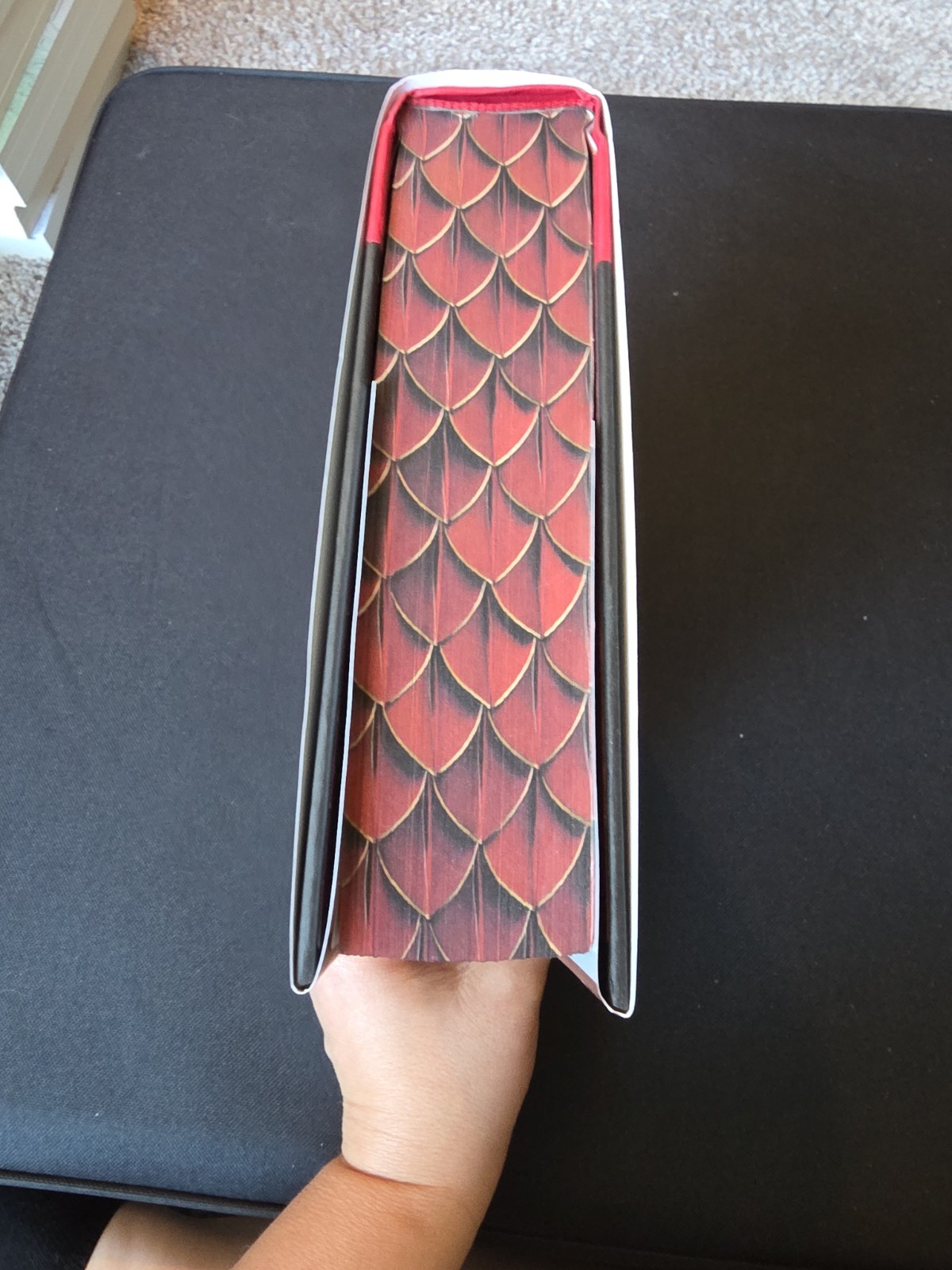 On Wings of Blood Deluxe Limited Edition : A Novel by Briar Boleyn 2025