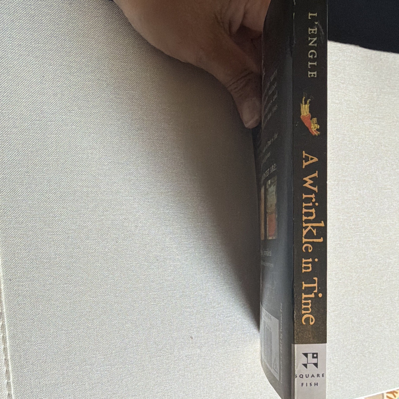 Madeleine L’Engle A Wrinkle in Time (2007) Perfect PB First Square Fish Ed