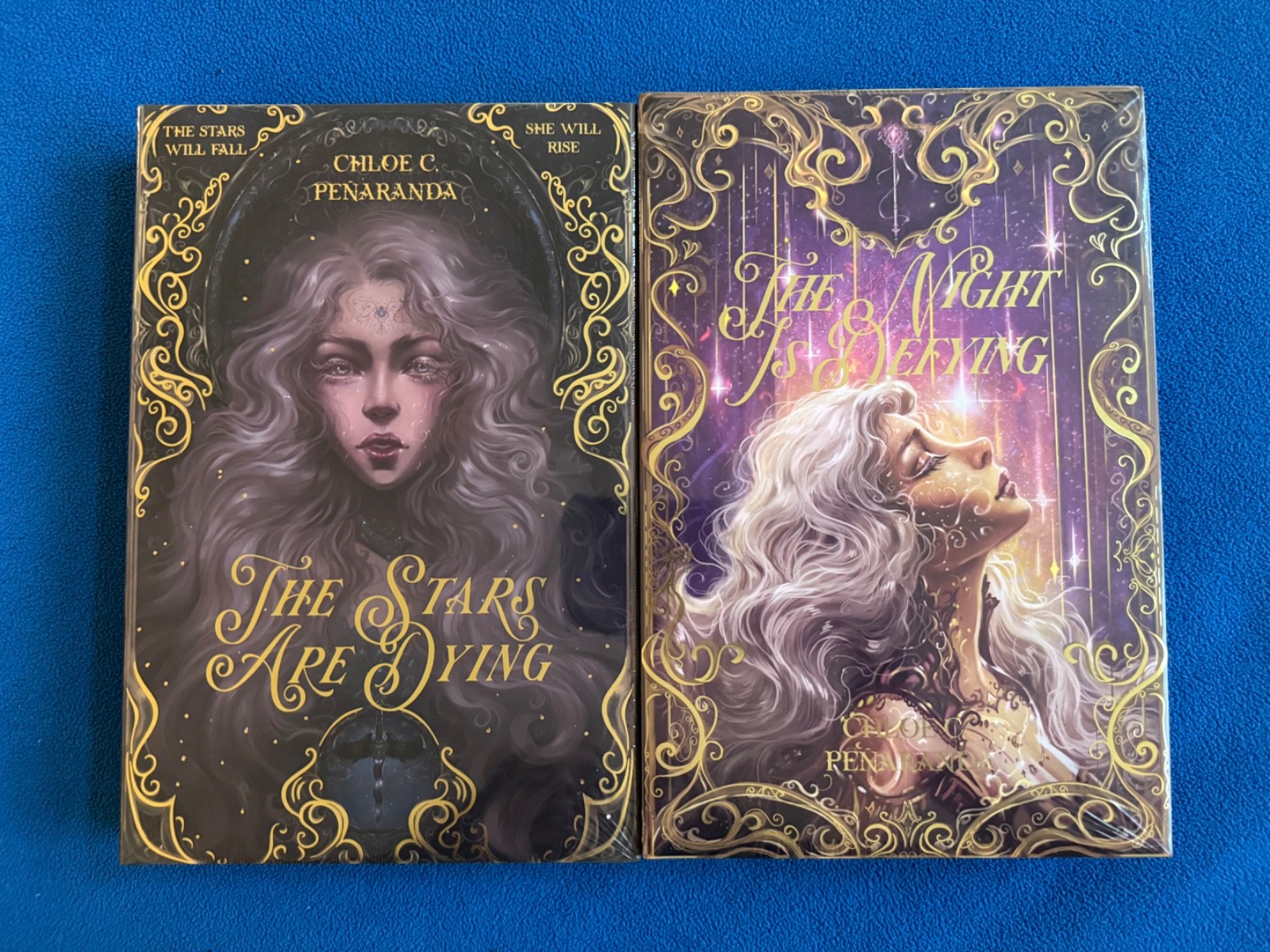 Bookish Box The Stars Are Dying & The Night is Defying by Chloe C Penaranda