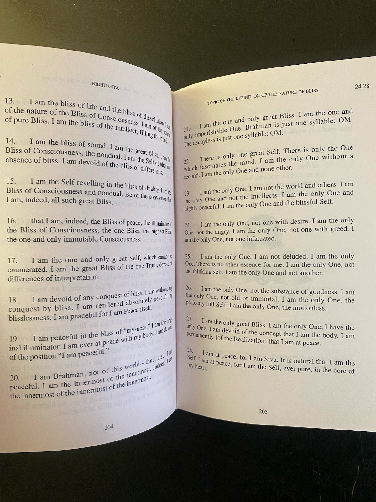 The Ribhu Gita: First English Translation from the Original Sanskrit HC