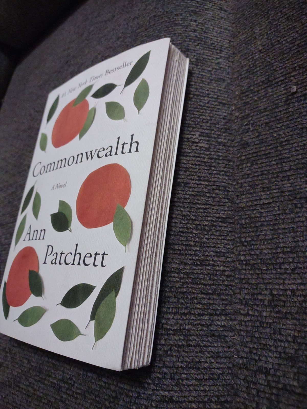 Commonwealth : A Novel by Ann Patchett (2017, Trade Paperback)