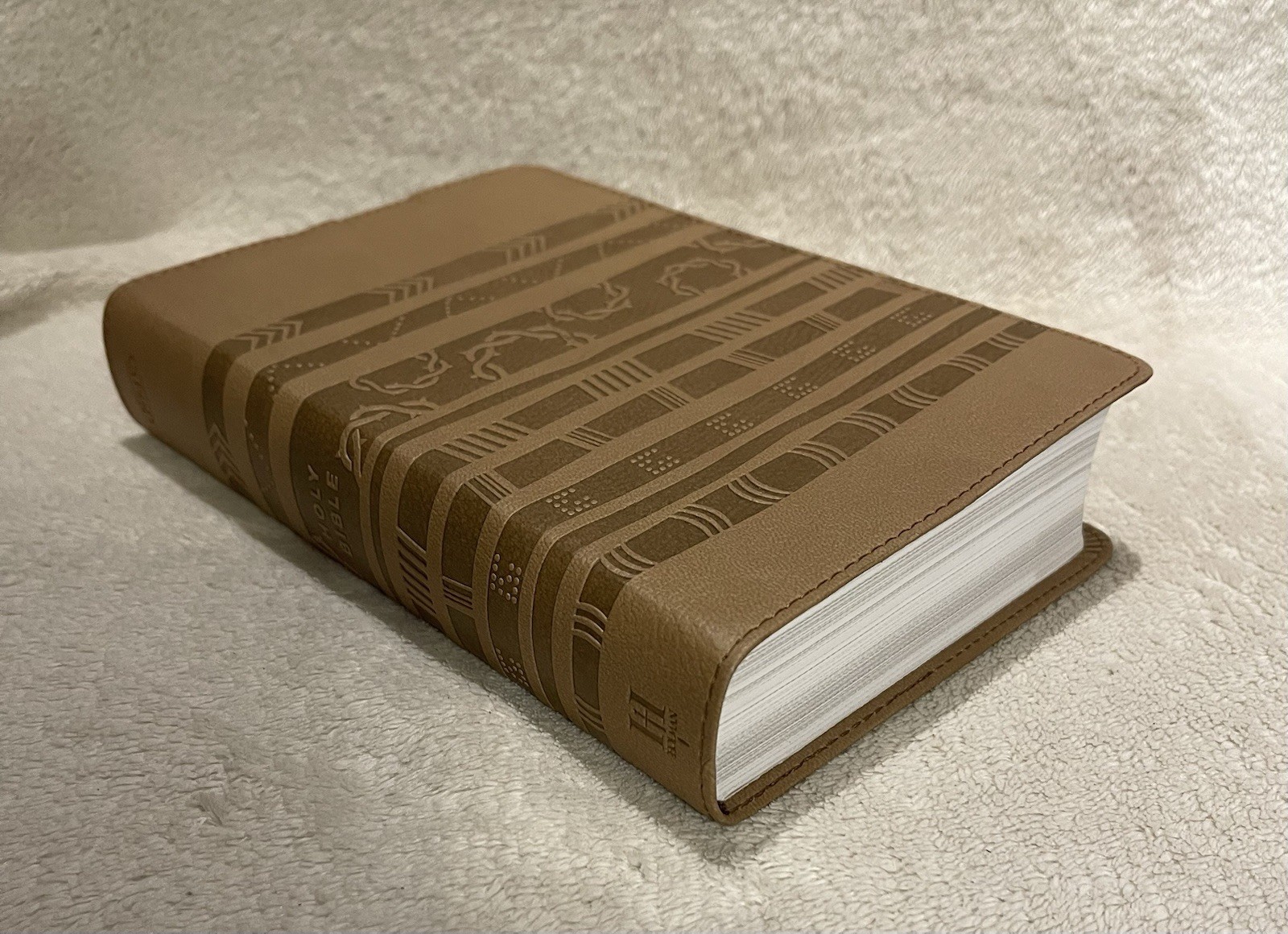 HCSB Essential Teen Study Bible- Aztec by B&H Kids