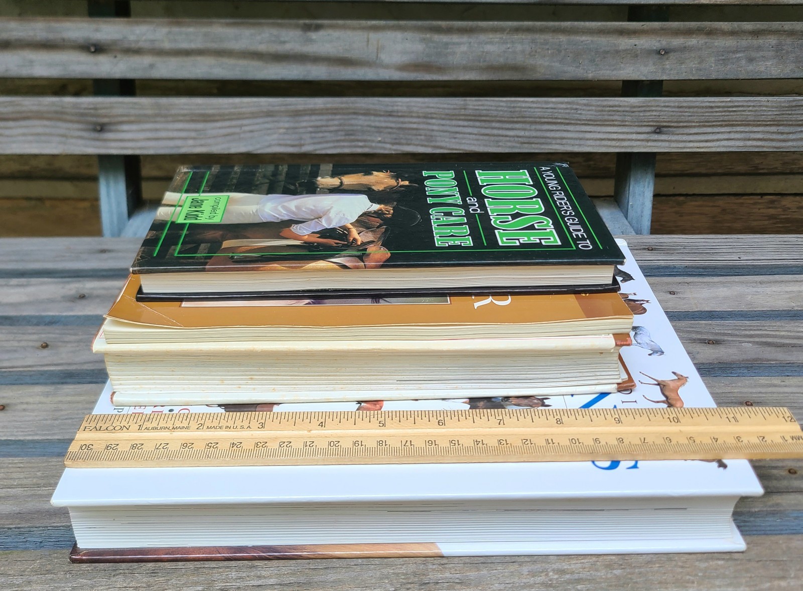 Vintage Books about Horses- Riding/Equestrian/Pony/Horse/Care/Health/Behavior