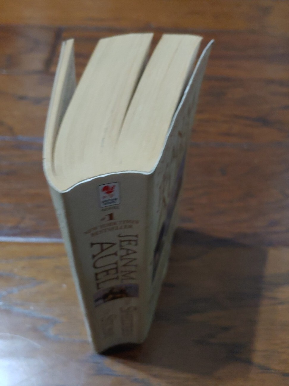Earth’s Children Ser.: The Shelters of Stone : Earth’s Children, Book Five by…