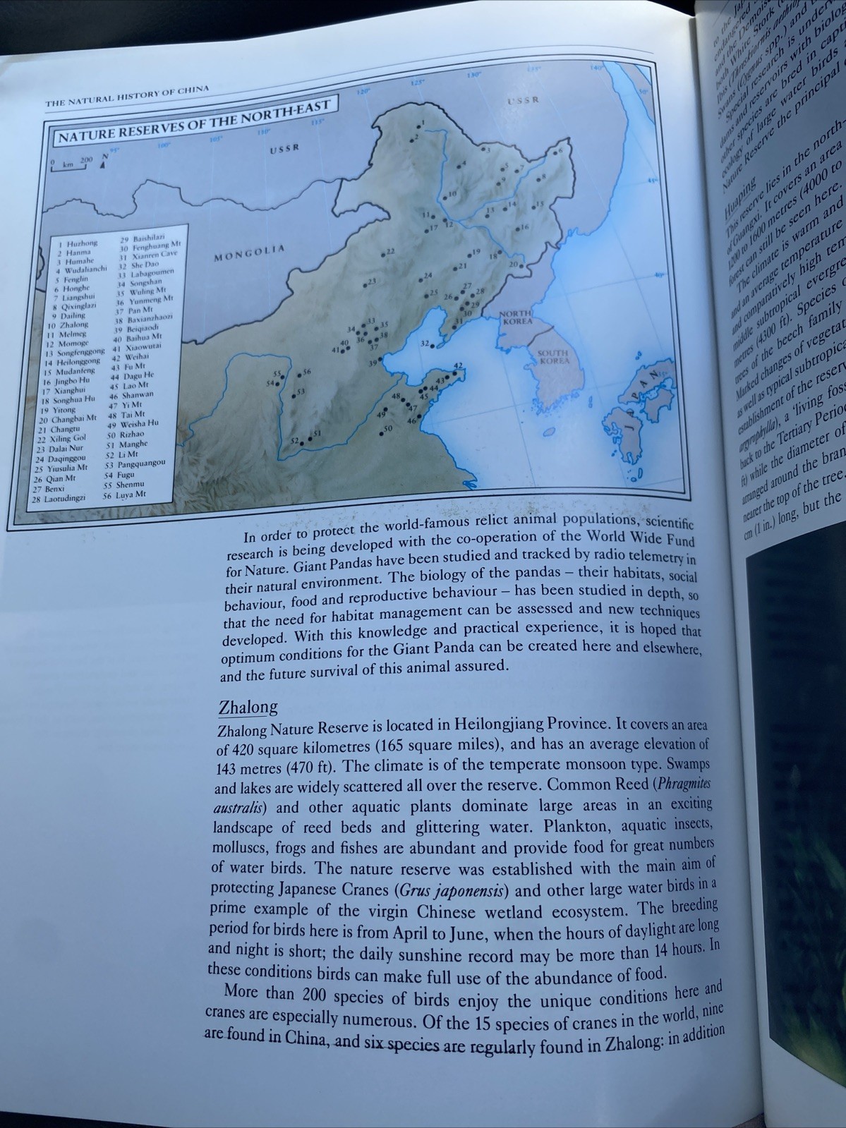 The Natural History of China by Zhaoji Hardcover 210 Pages-great Condition