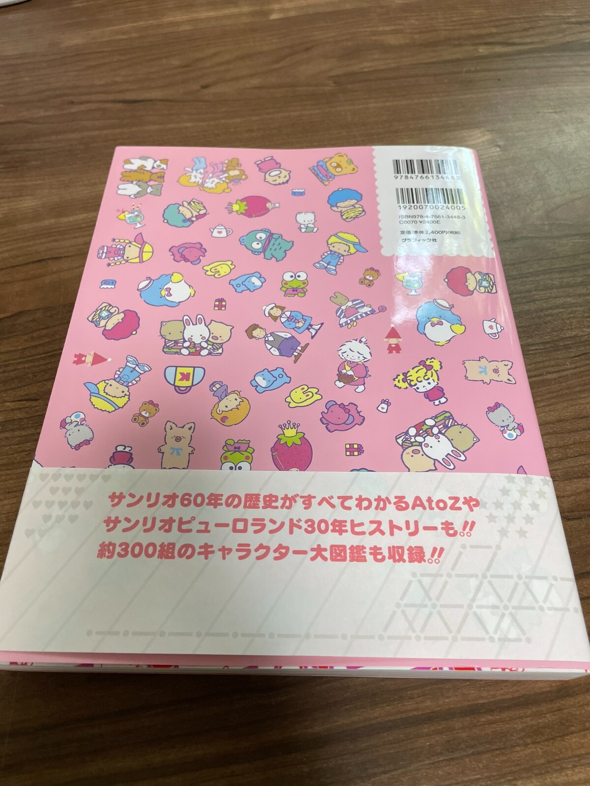Sanrio Design 90s to 2010s Japanese Book Hello Kitty My Melody Kuromi