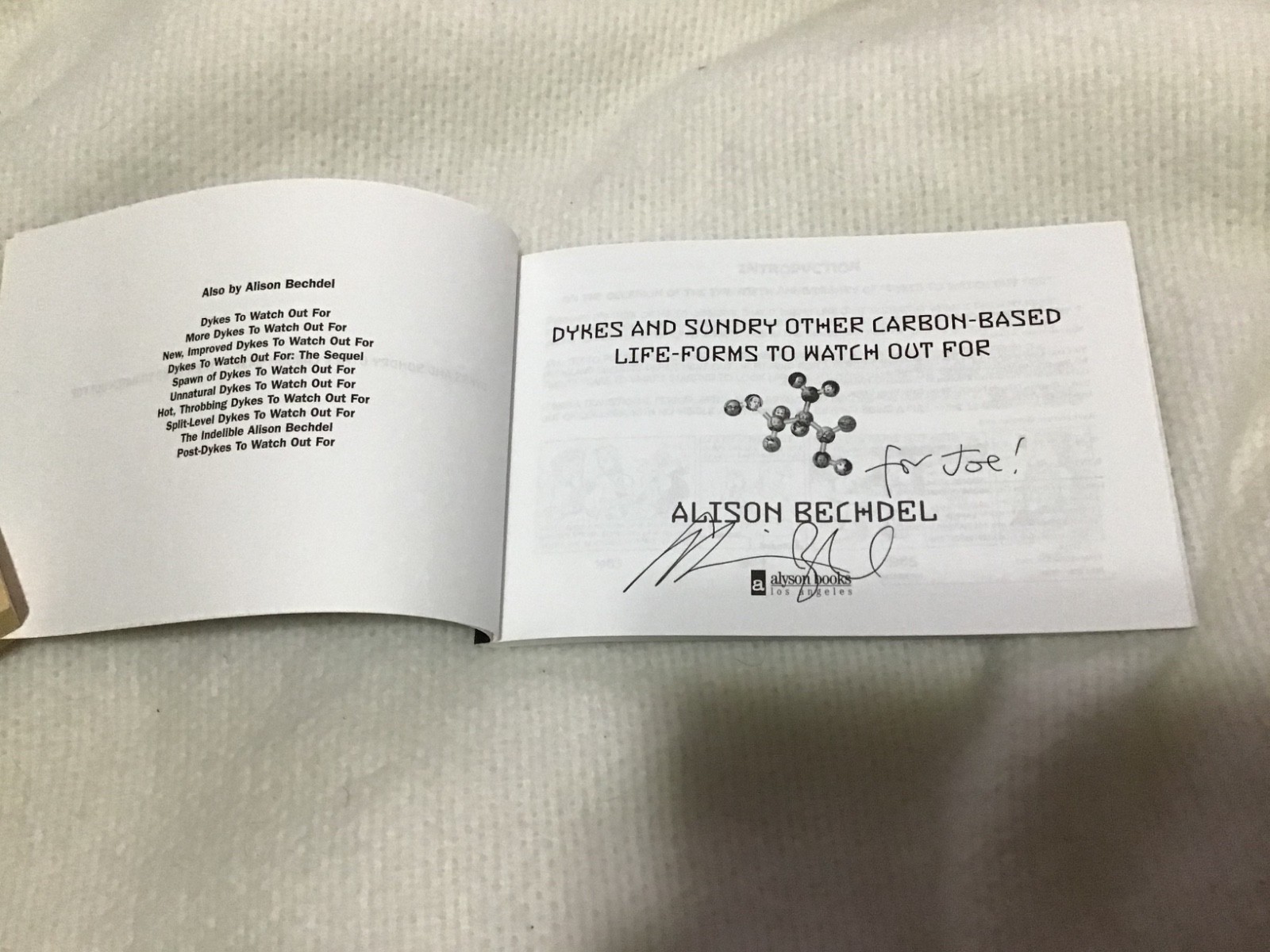 Whoa! Alison Bechdel lot of 12! Signed DTWOF Books! Titles in PIX & Description