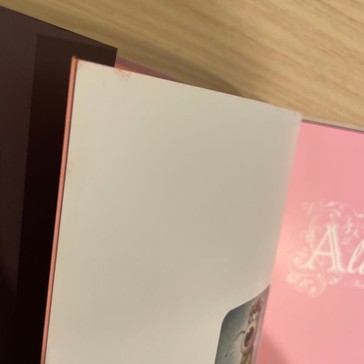 Art Book Aethetic collection Trevor BrownAlice New Edition