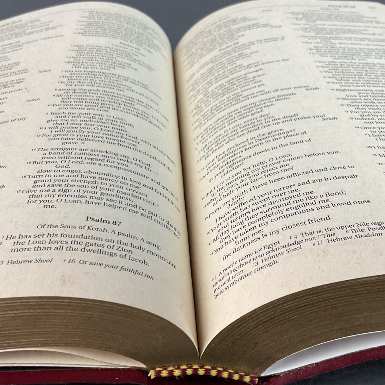 Holy Bible NIV With Helps Words of Christ in Red Letter Edition Zondervan