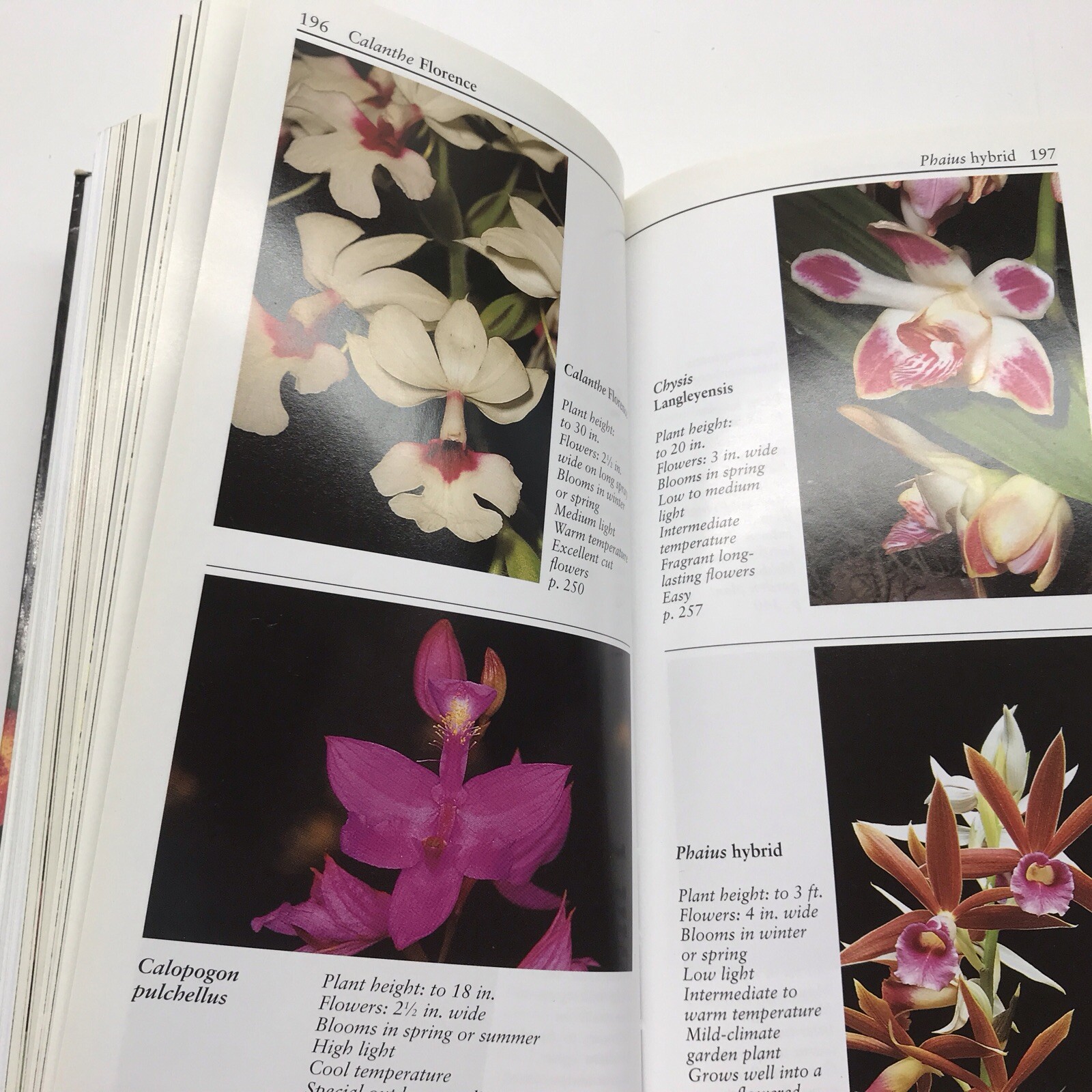 Taylor’s Guide to Orchids~1996~Judy White~Ex Library