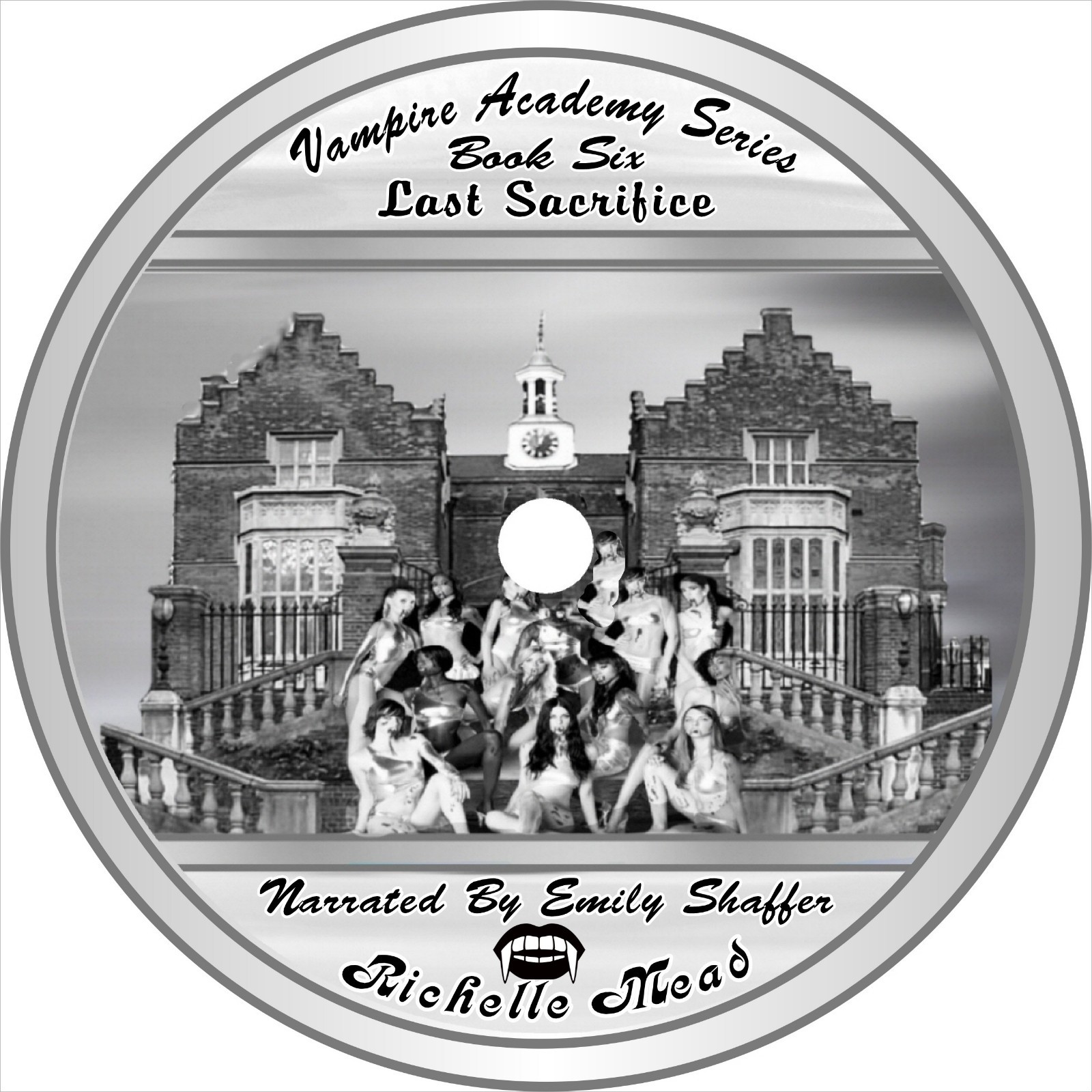 Richelle Mead Vampire Academy Series 6 unabridged Audio books on mp3 cds
