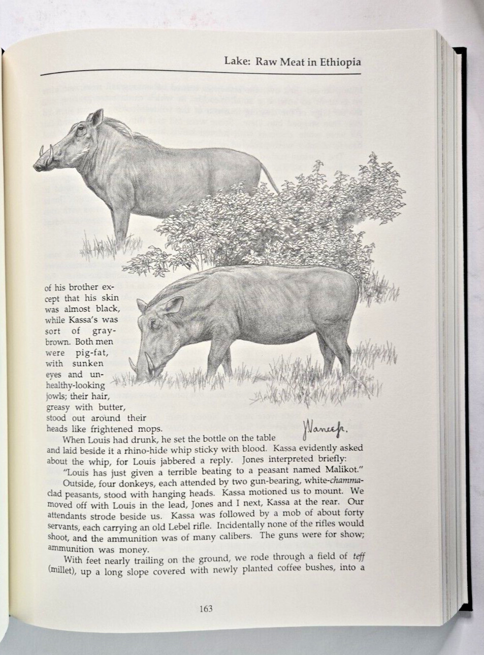 Hunting in Ethiopia by Tony Sanchez-Arino, Signed Limited Ed, Safari Press, 1995